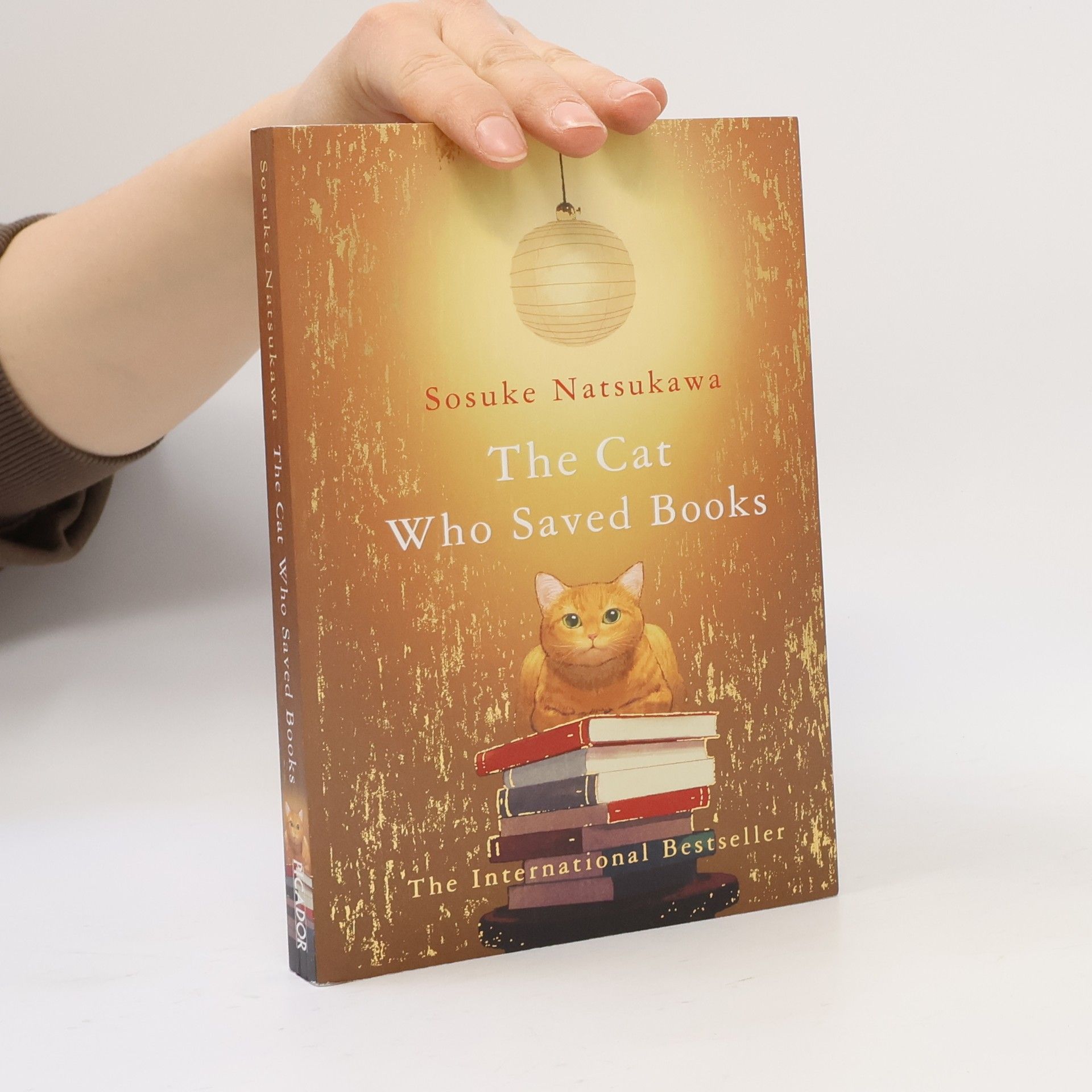 Sōsuke Natsukawa The cat who saved books