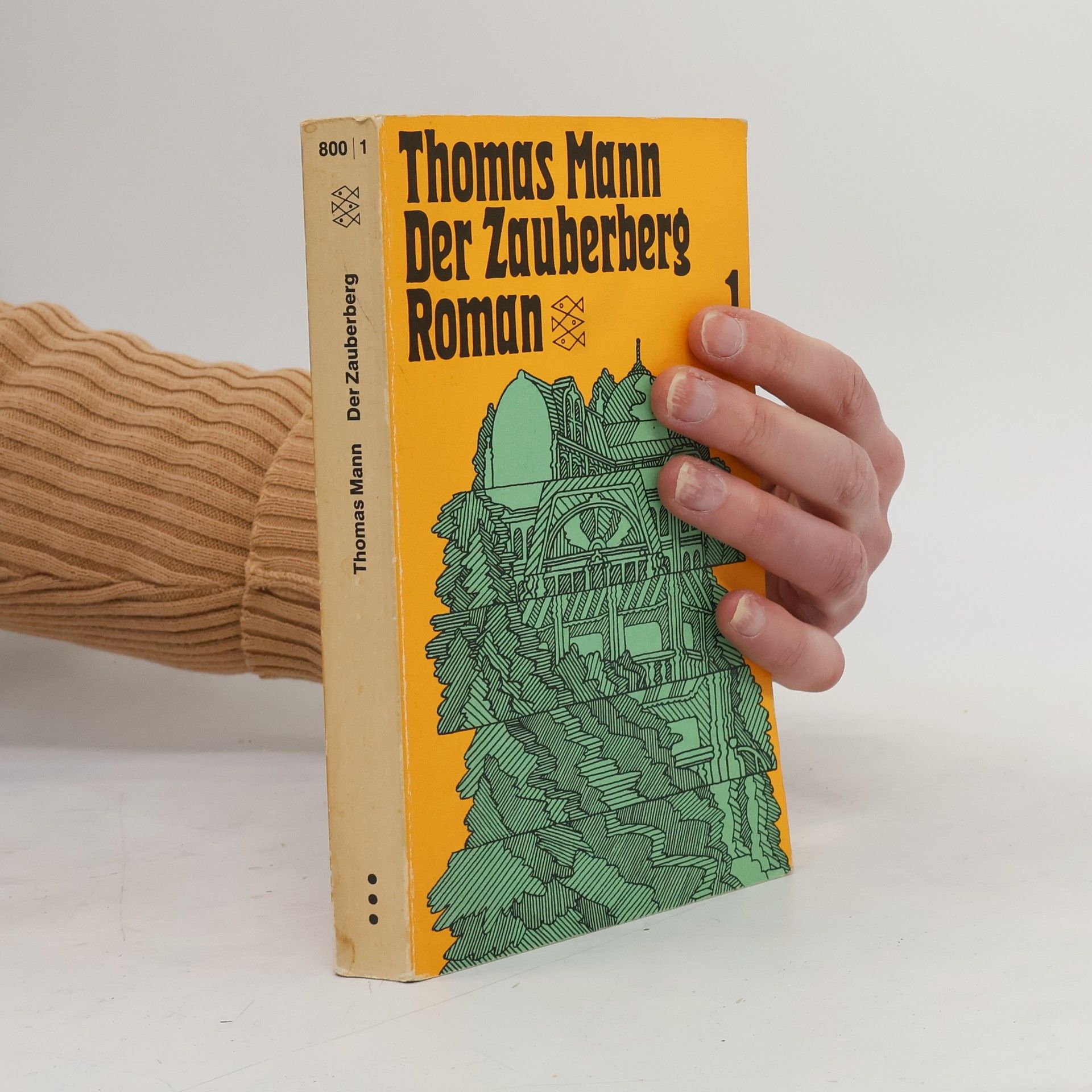 Thomas Mann Der Zauberberg 1