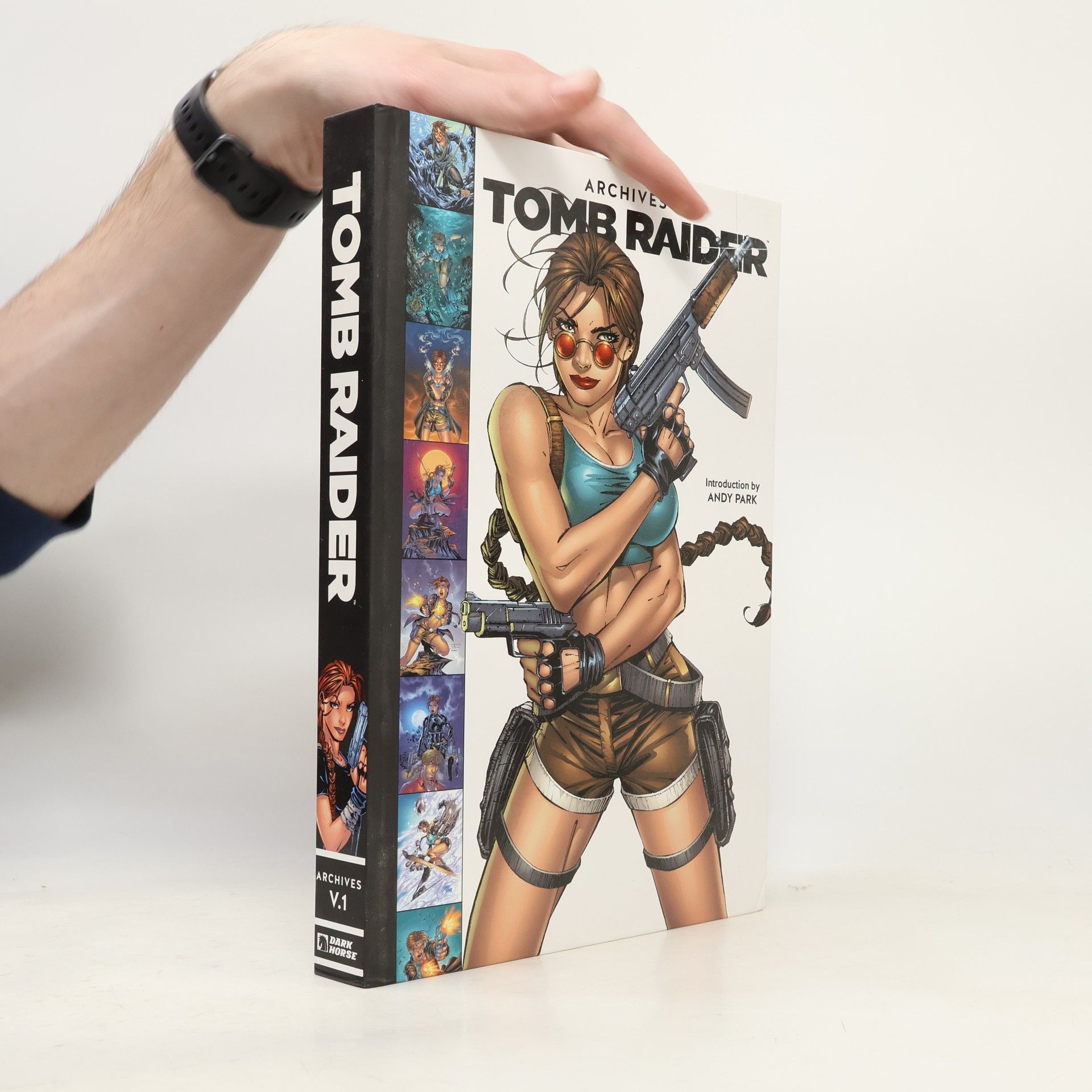 Tomb Raider Archives Volume 1