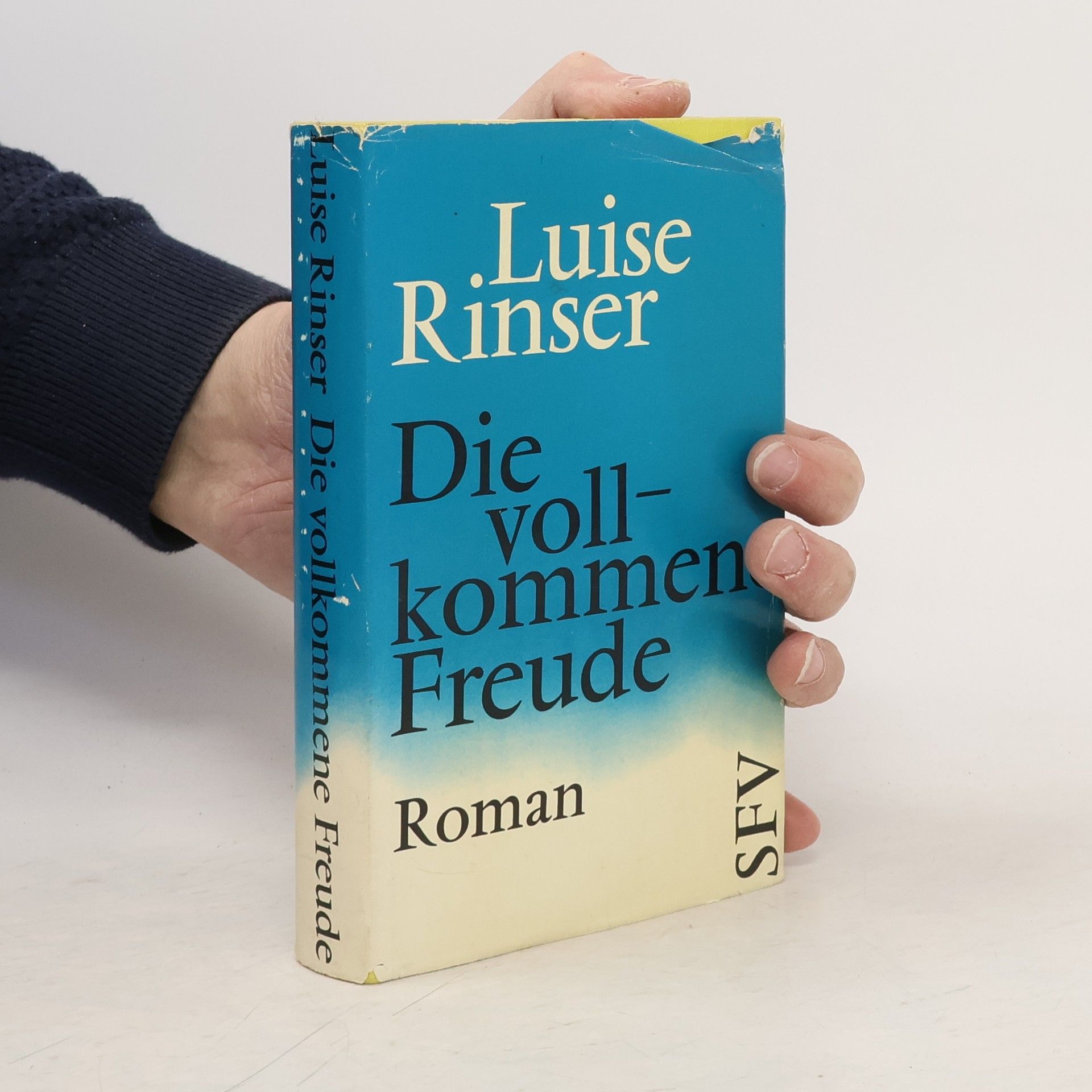 Luise Rinser Die vollkommen Freude
