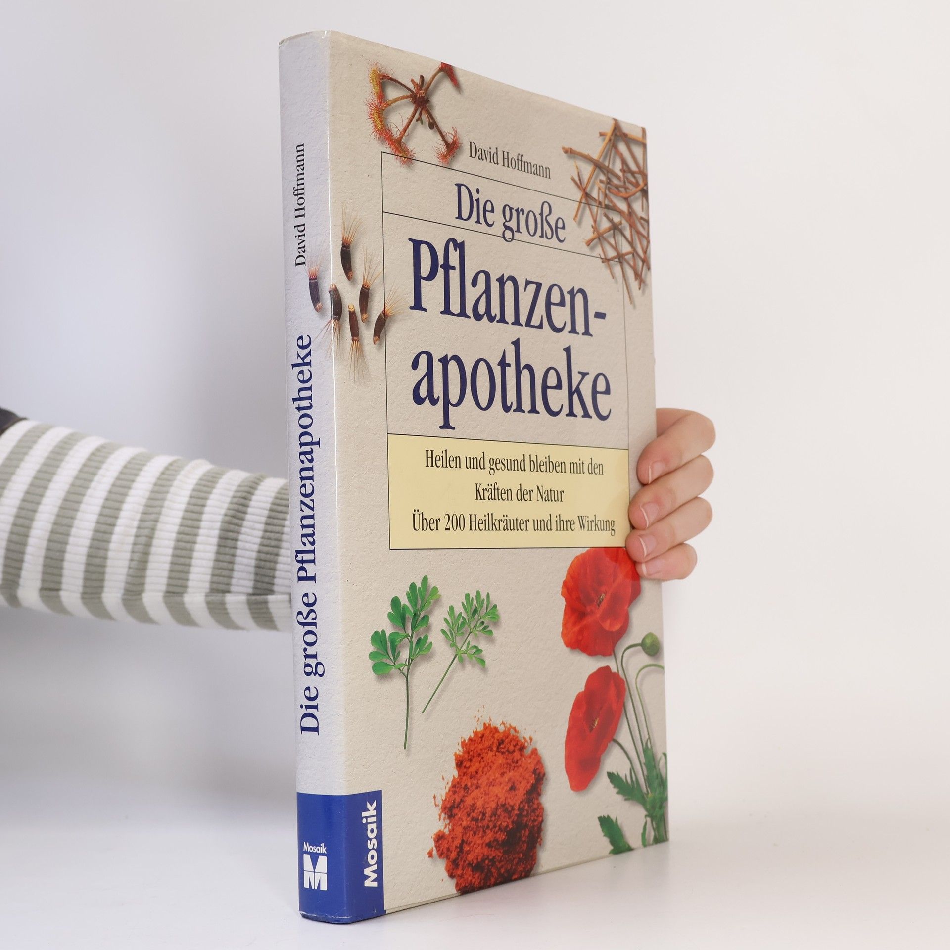 David Hoffmann Die grosse Pflanzen-Apotheke
