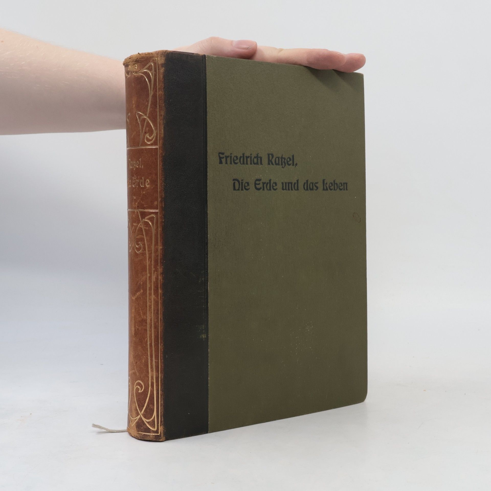 Die Erde und das Leben