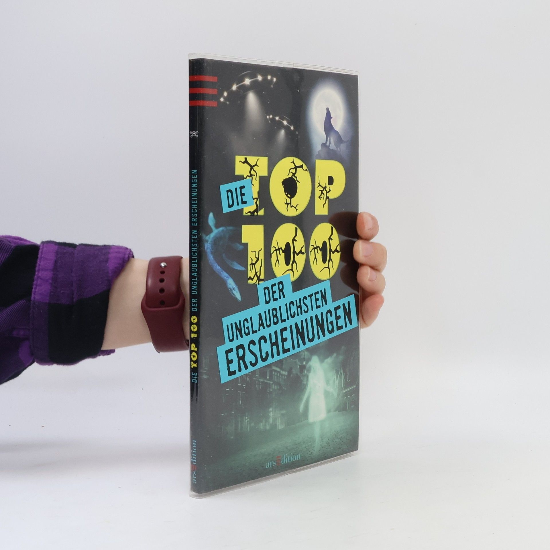 Autorenkollektiv Die Top 100 der Unglaublichstein Erscheinungen