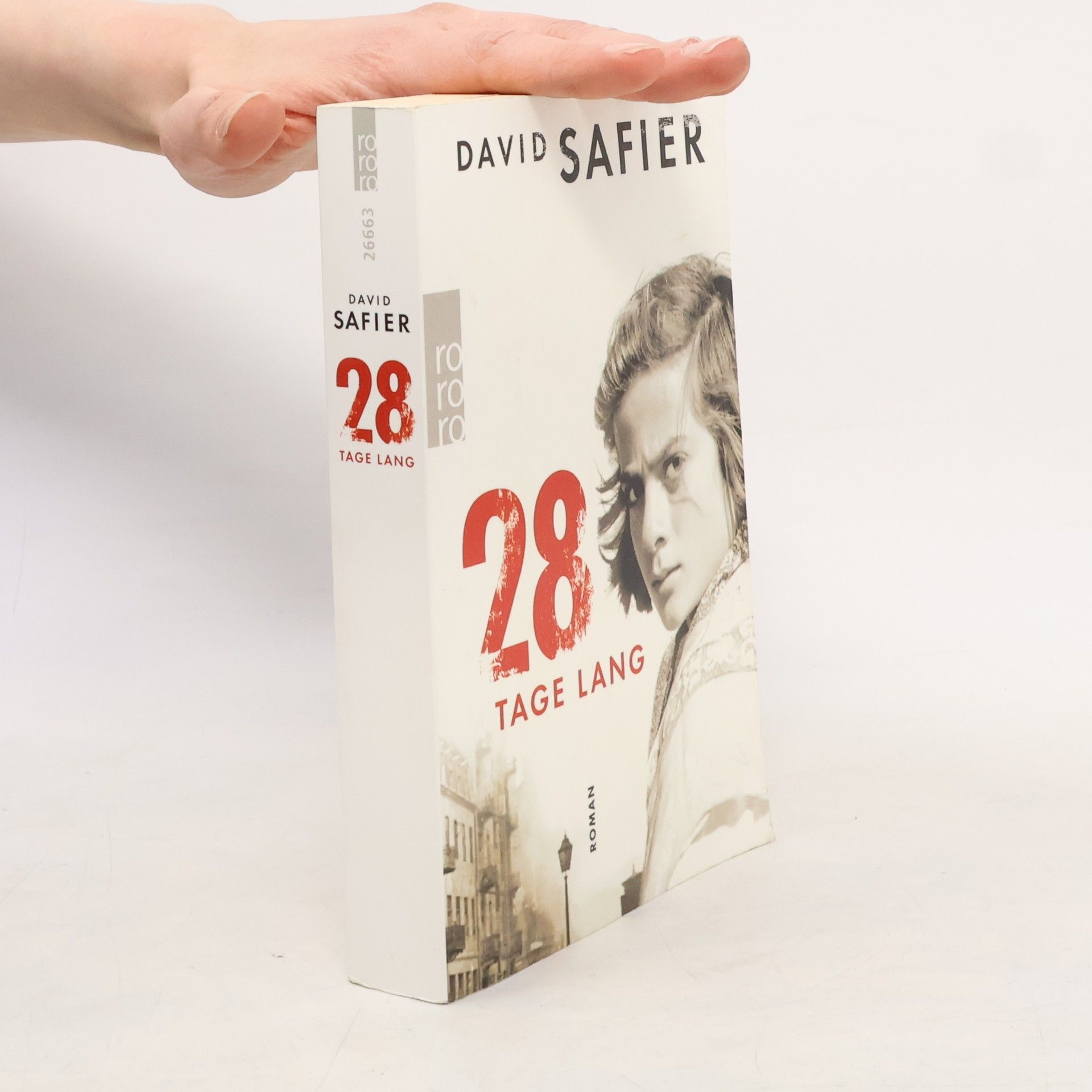 David Safier 28 Tage lang