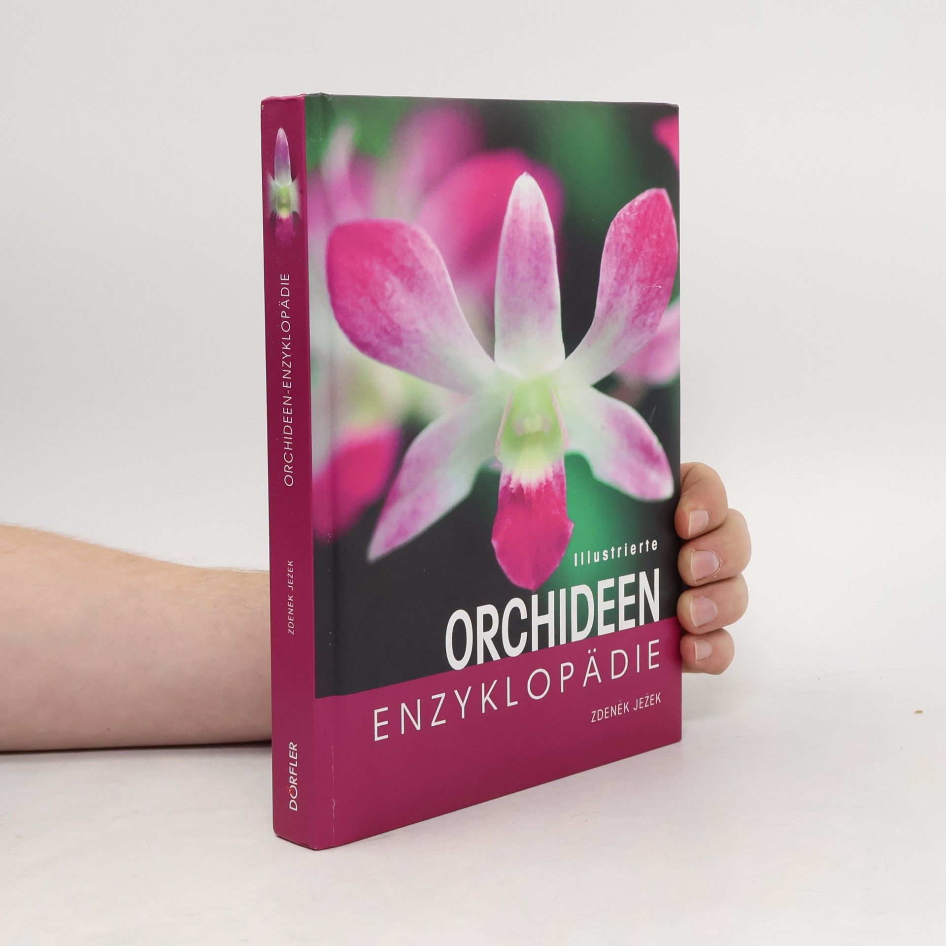 Zdeněk Ježek Illustrierte Orchideen-Enzyklopädie