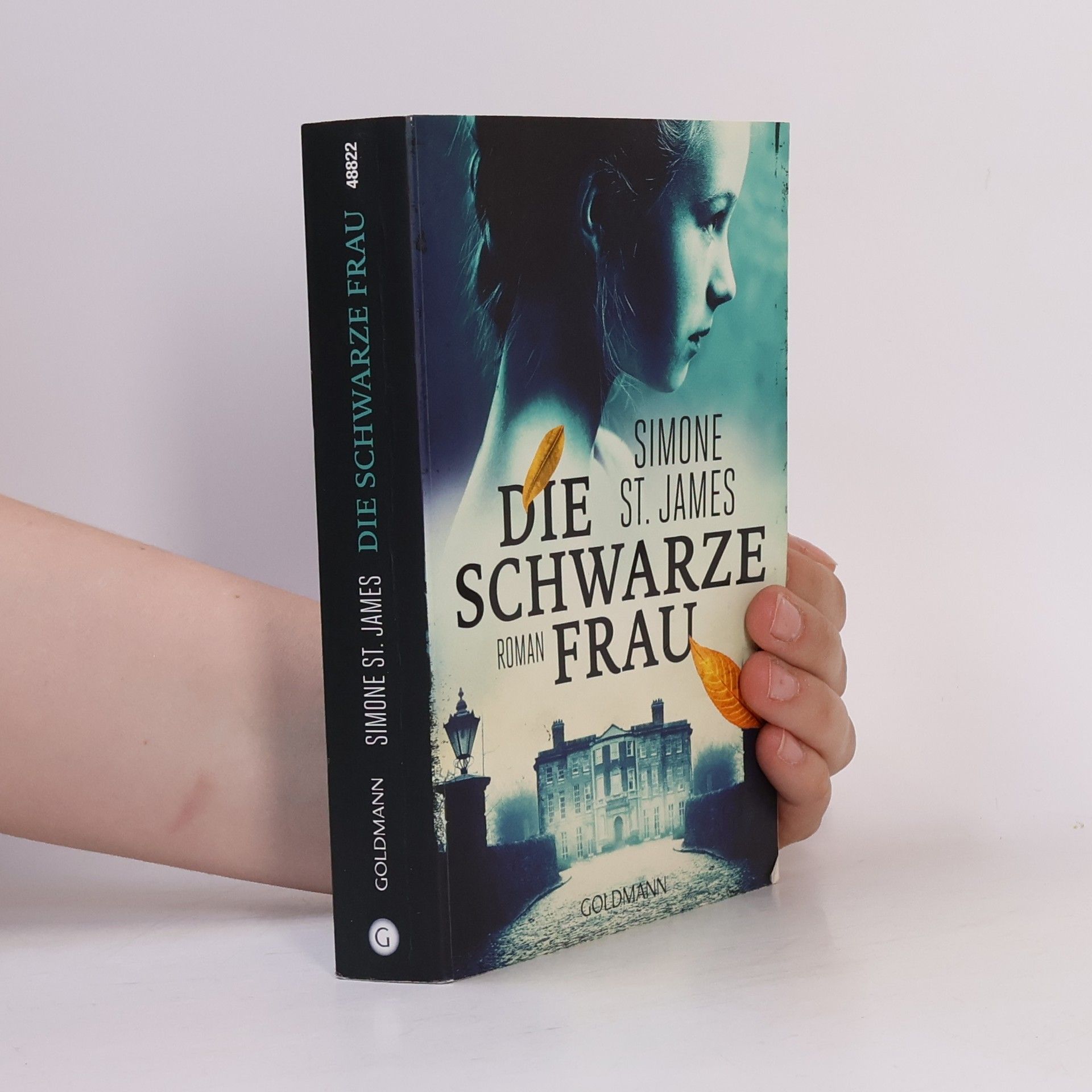 Simone St. James Die schwarze Frau