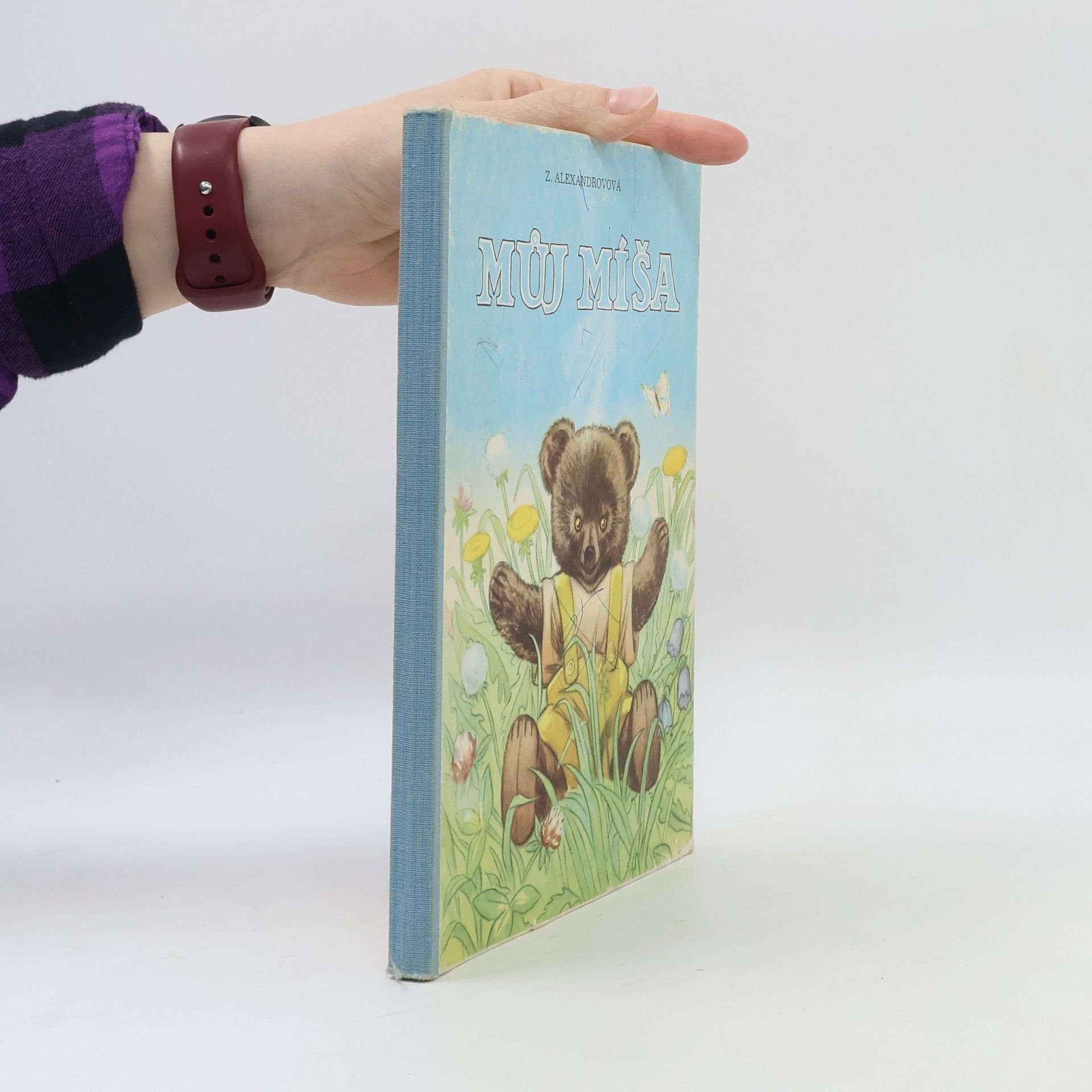 Zinaida Jevgeňjevna Alexandrova Můj Míša