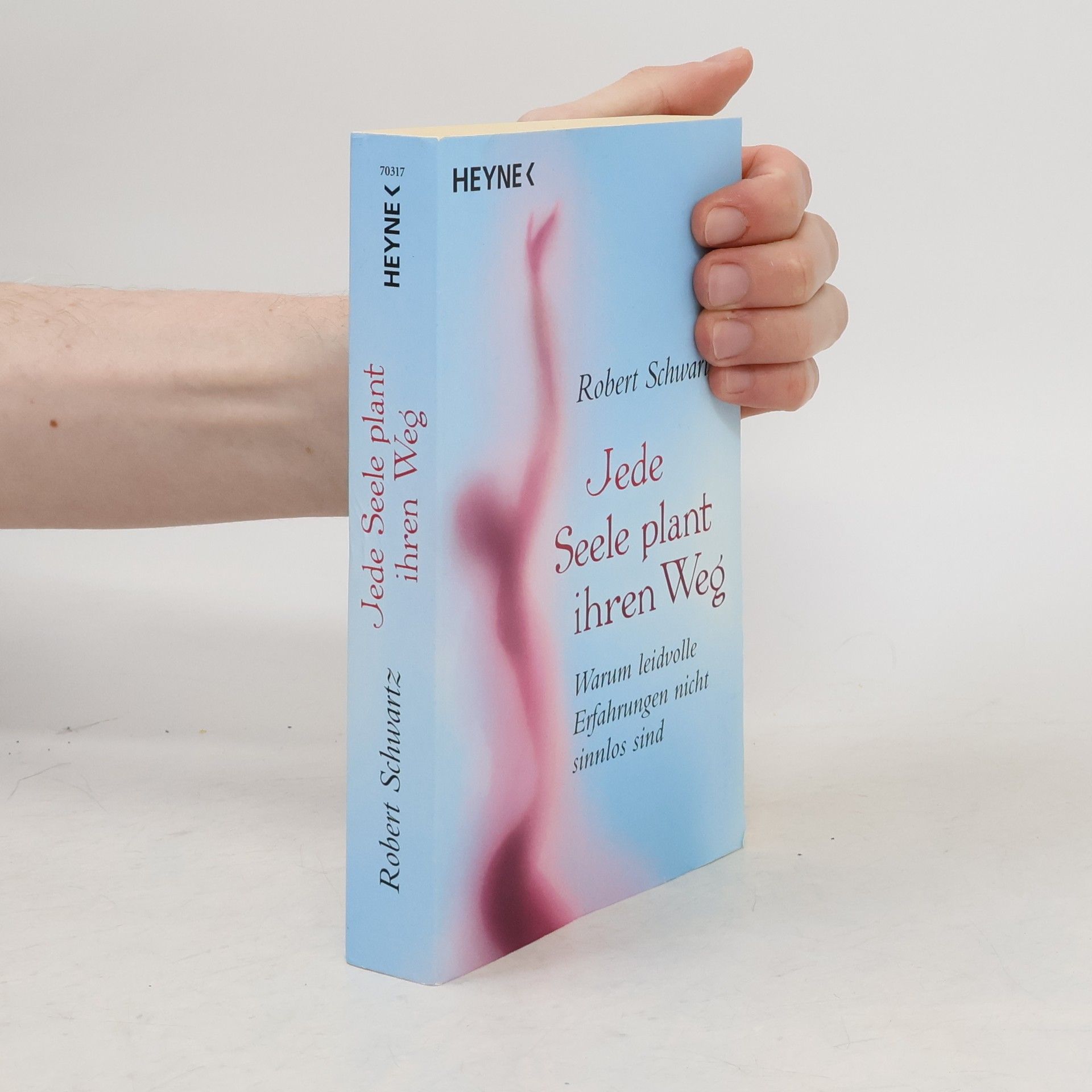 Robert Schwartz Jede Seele plant ihren Weg