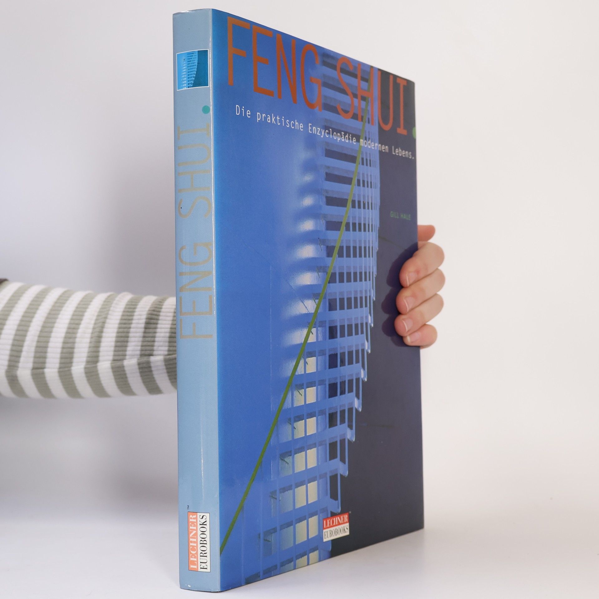 Gill Hale Feng Shui - Die praktische Enzyclopädie modernen Lebens