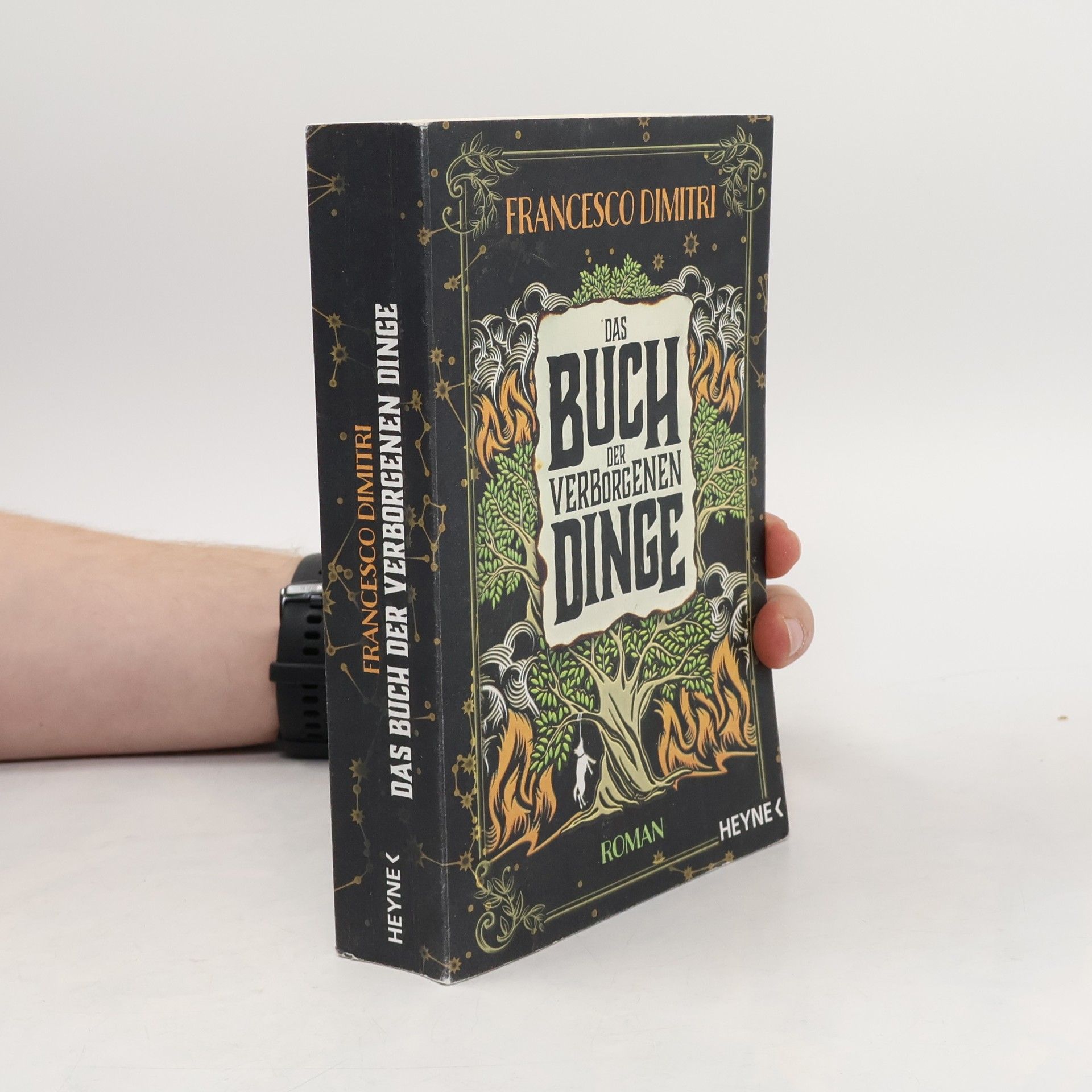 Francesco Dimitri Das Buch der verborgenen Dinge