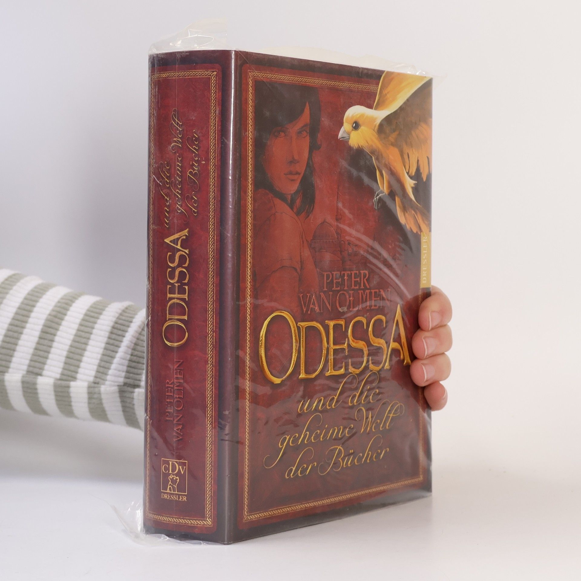 Peter Van Olmen Odessa und die geheime Welt der Bücher