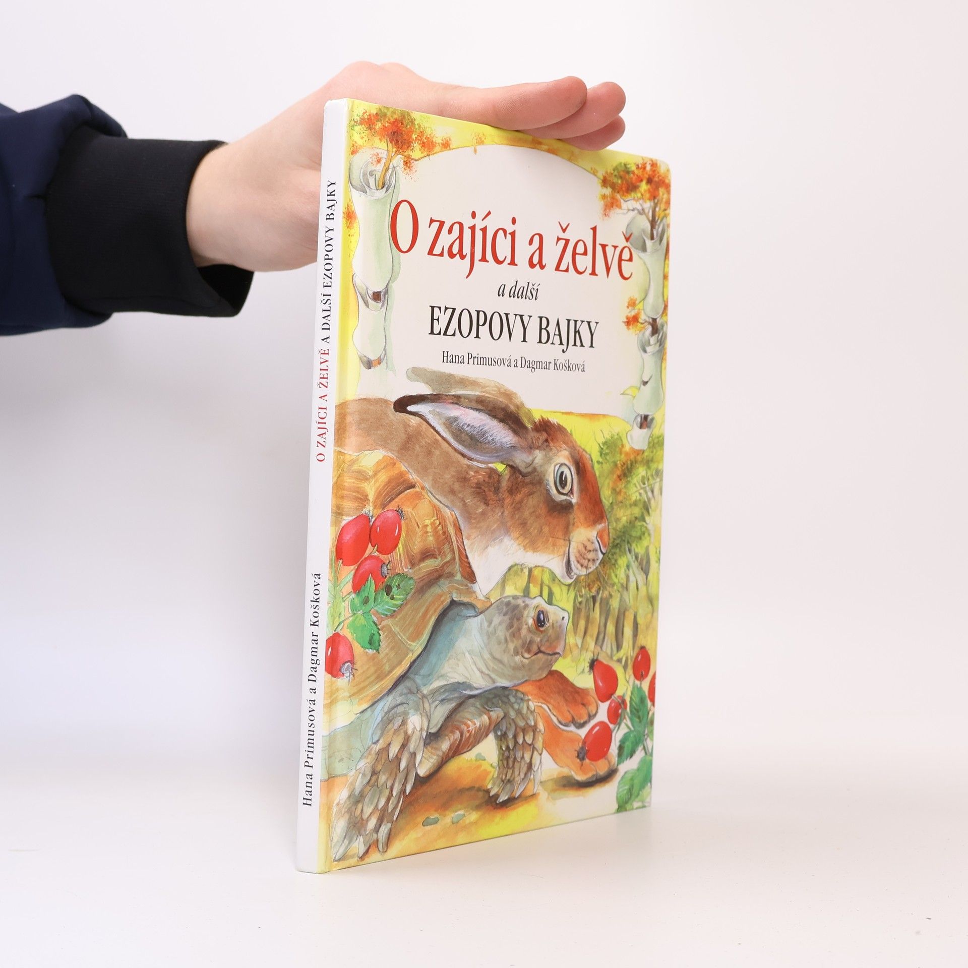 Dagmar Košková O zajíci a želvě a další Ezopovy bajky