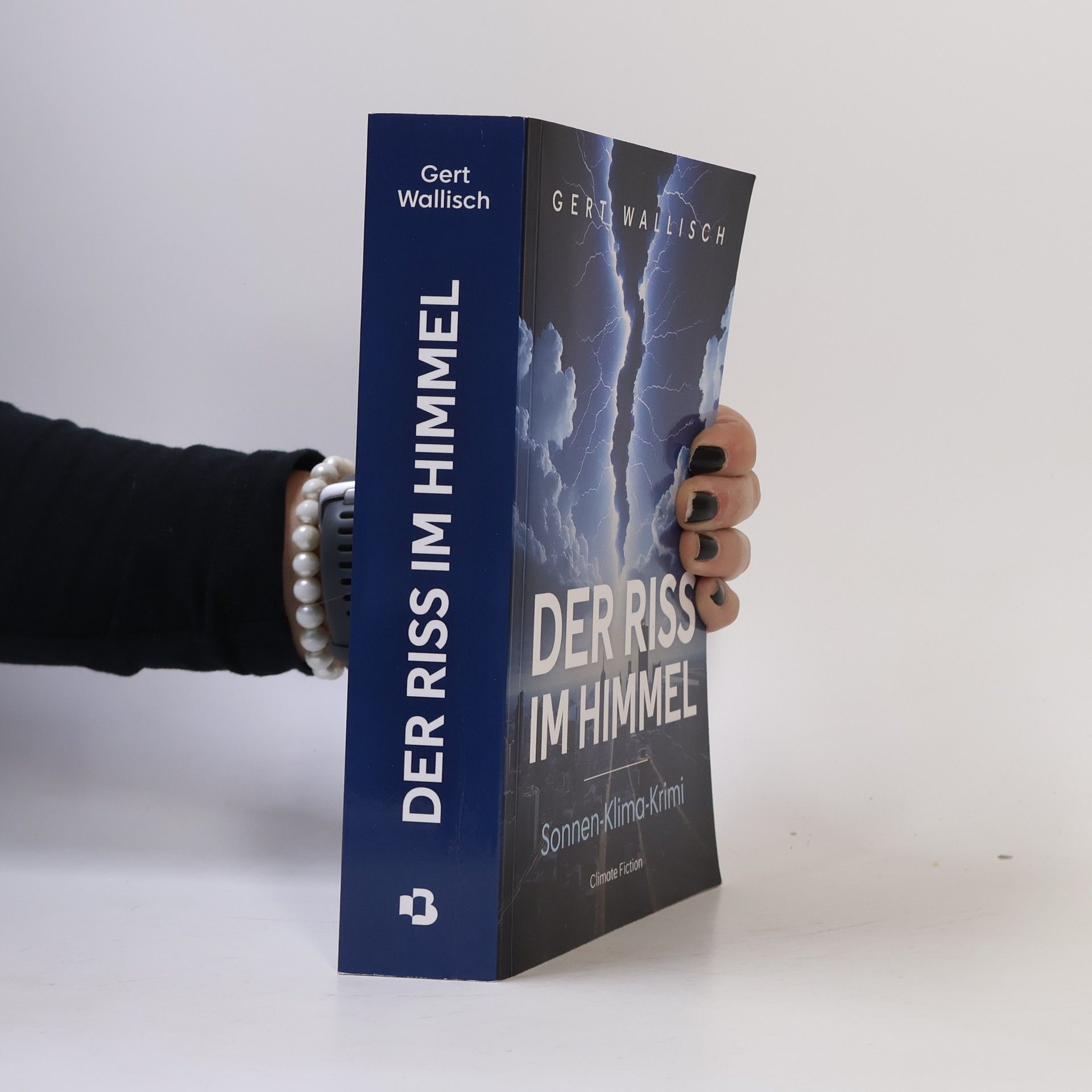 Gert Wallisch Der Riss im Himmel