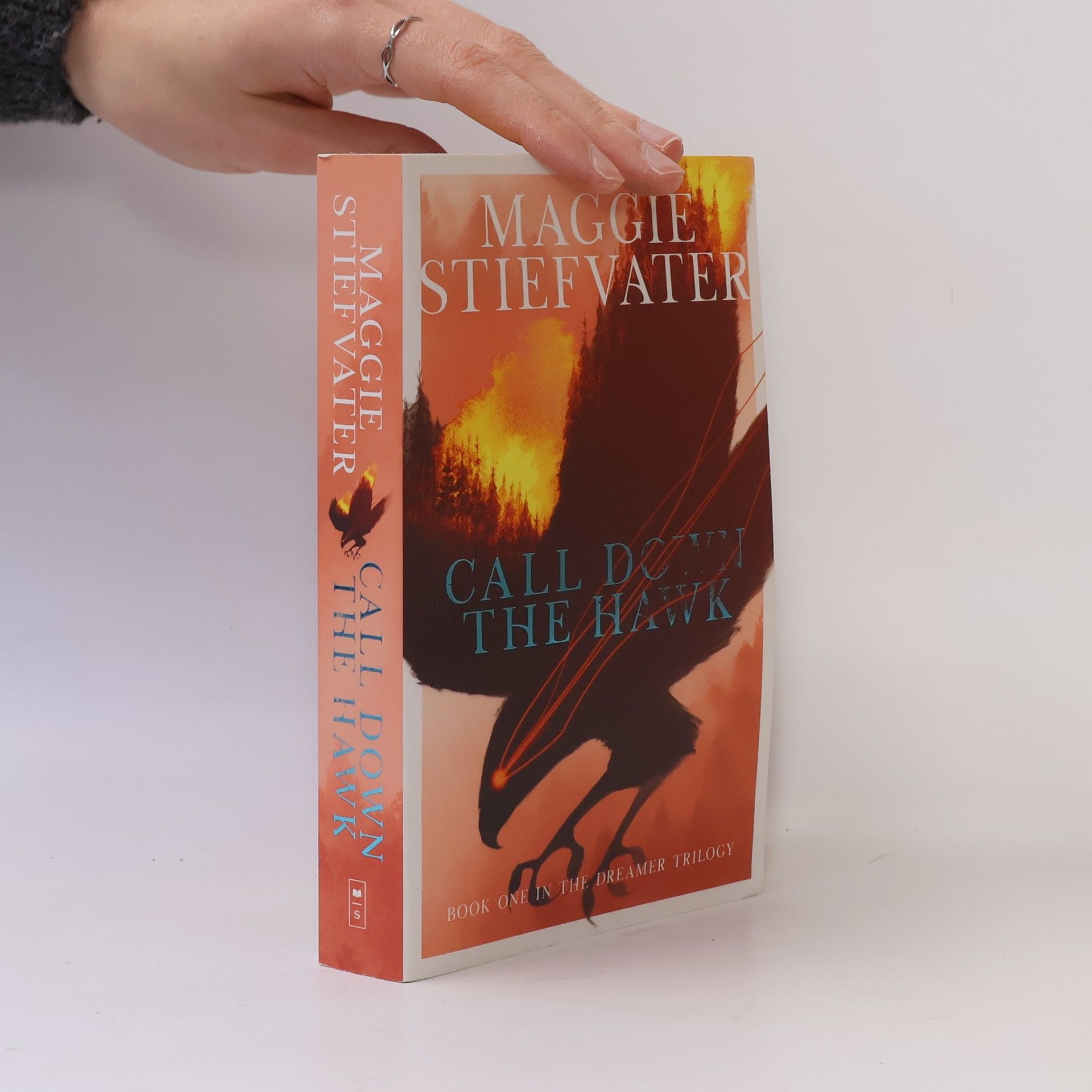 Maggie Stiefvater Call Down the Hawk