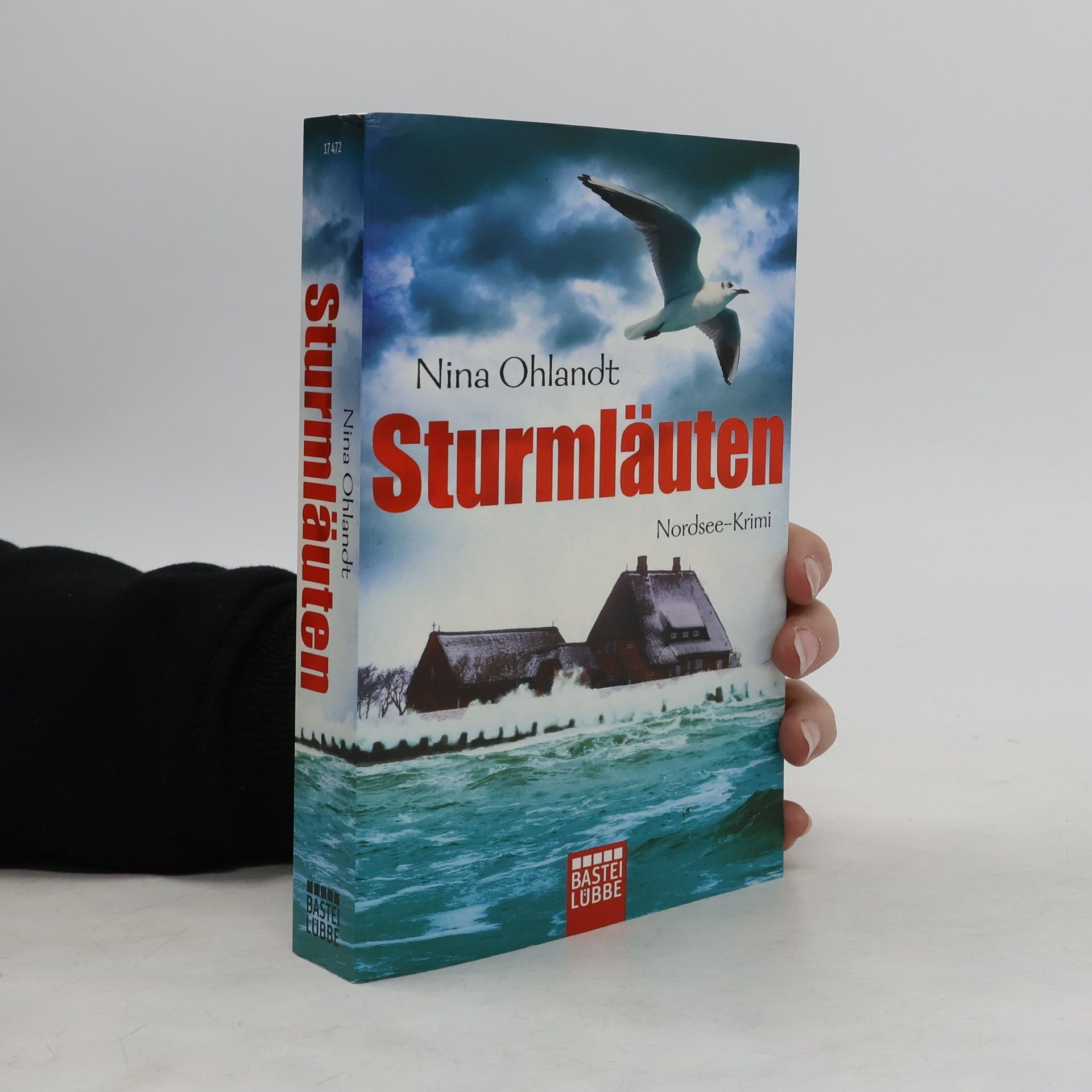 Nina Ohlandt Sturmläuten