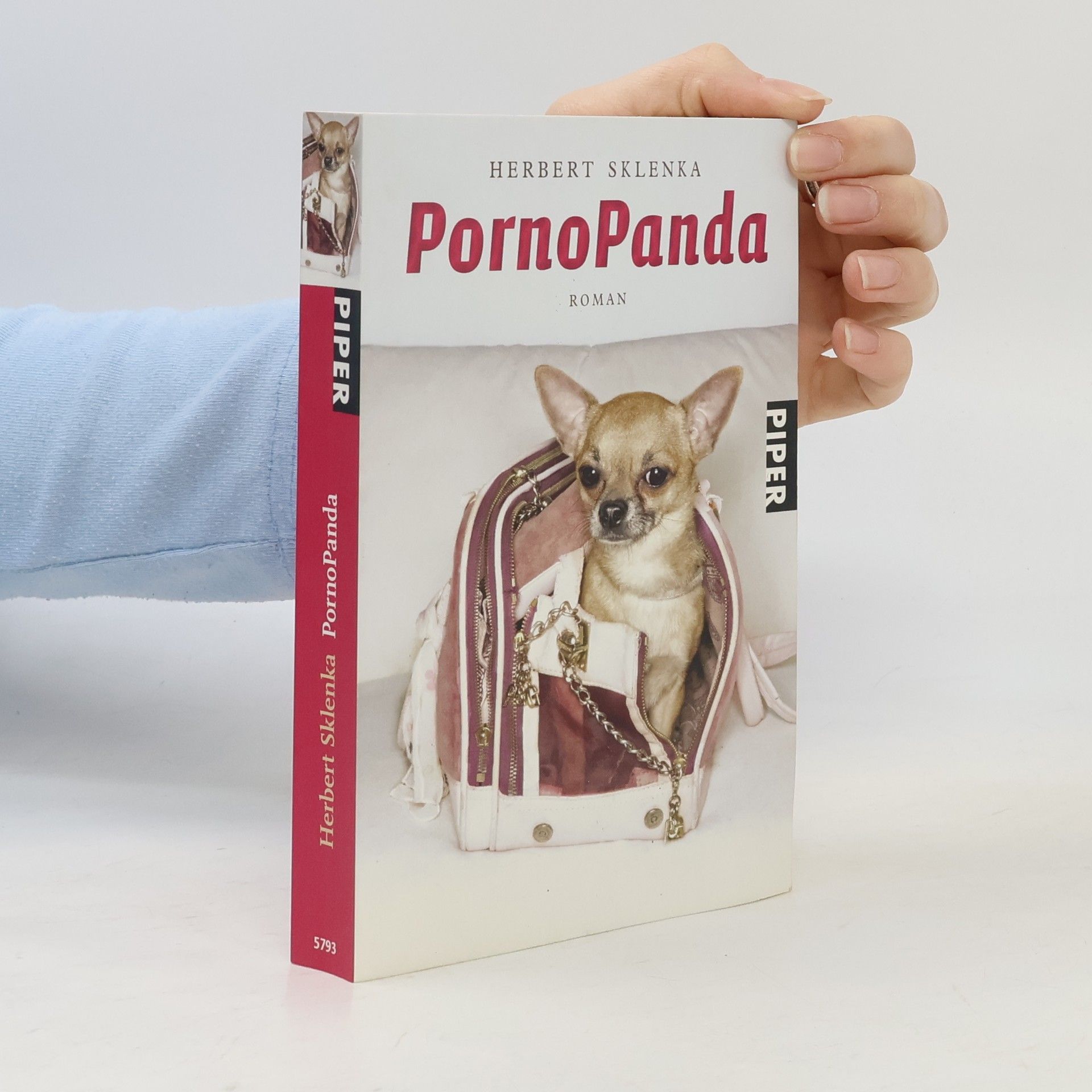 PornoPanda
