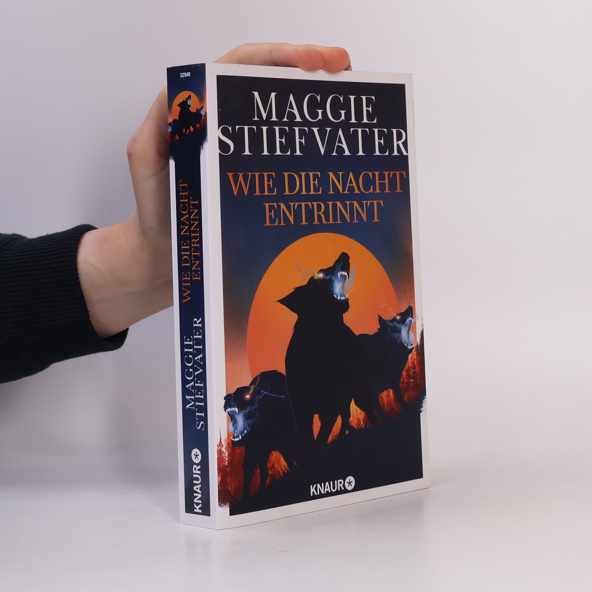 Maggie Stiefvater Wie die Nacht entrinnt