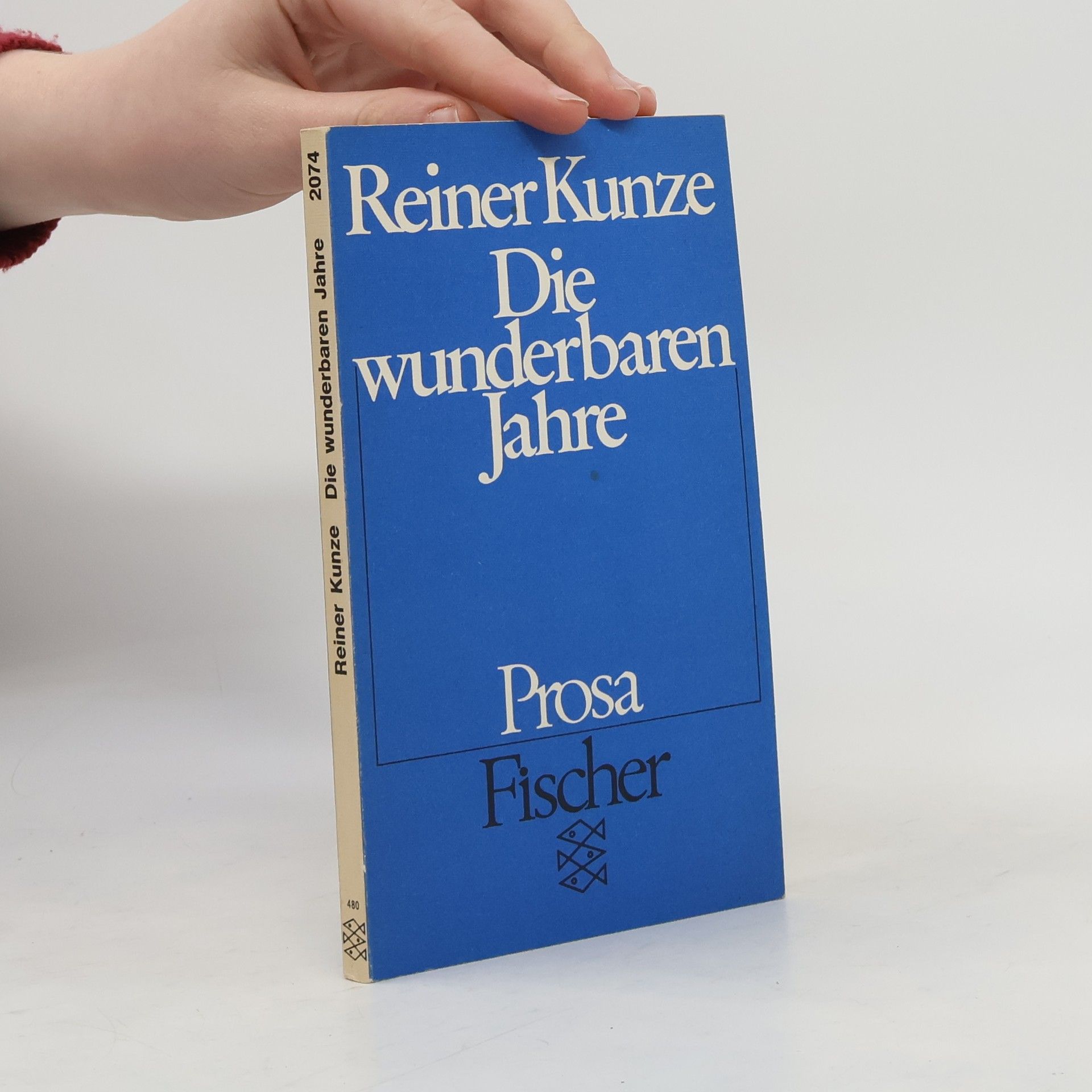 Reiner Kunze Die wunderbaren Jahre