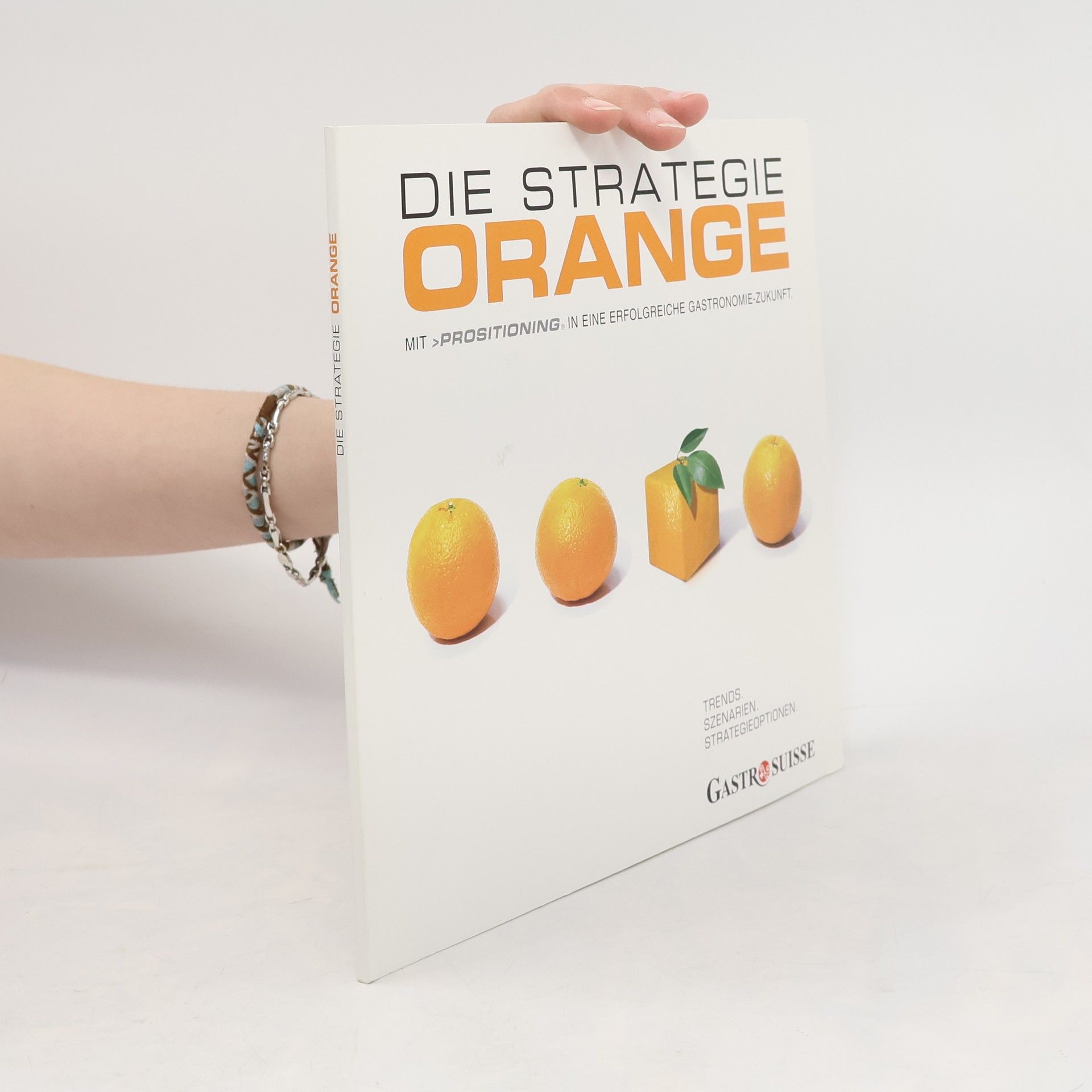 Daniel C. Jung Die Strategie Orange
