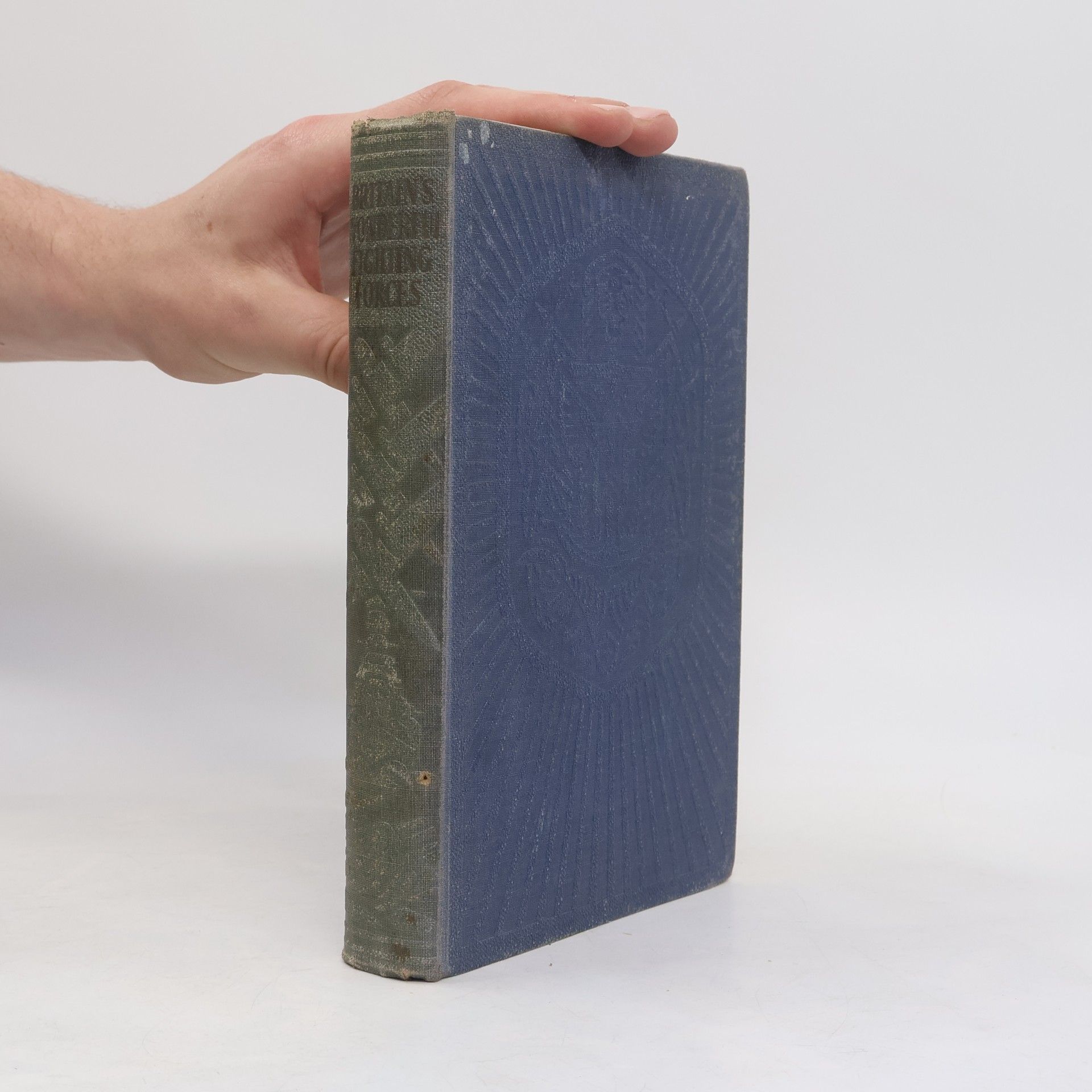 Kolektív autorov Britain's Wonderful Fighting Forces