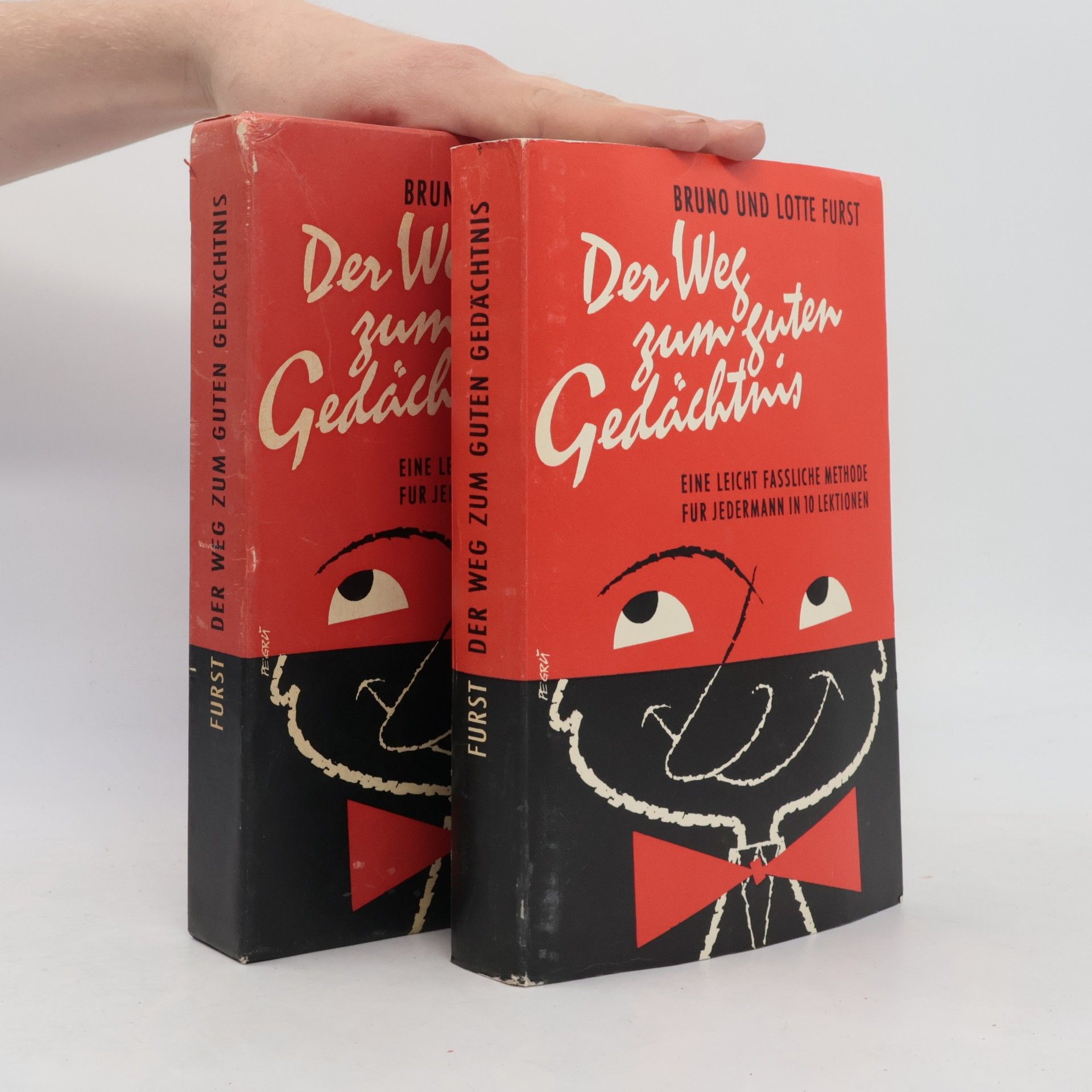 Bruno Fürst Der Weg zum guten Gedächtnis