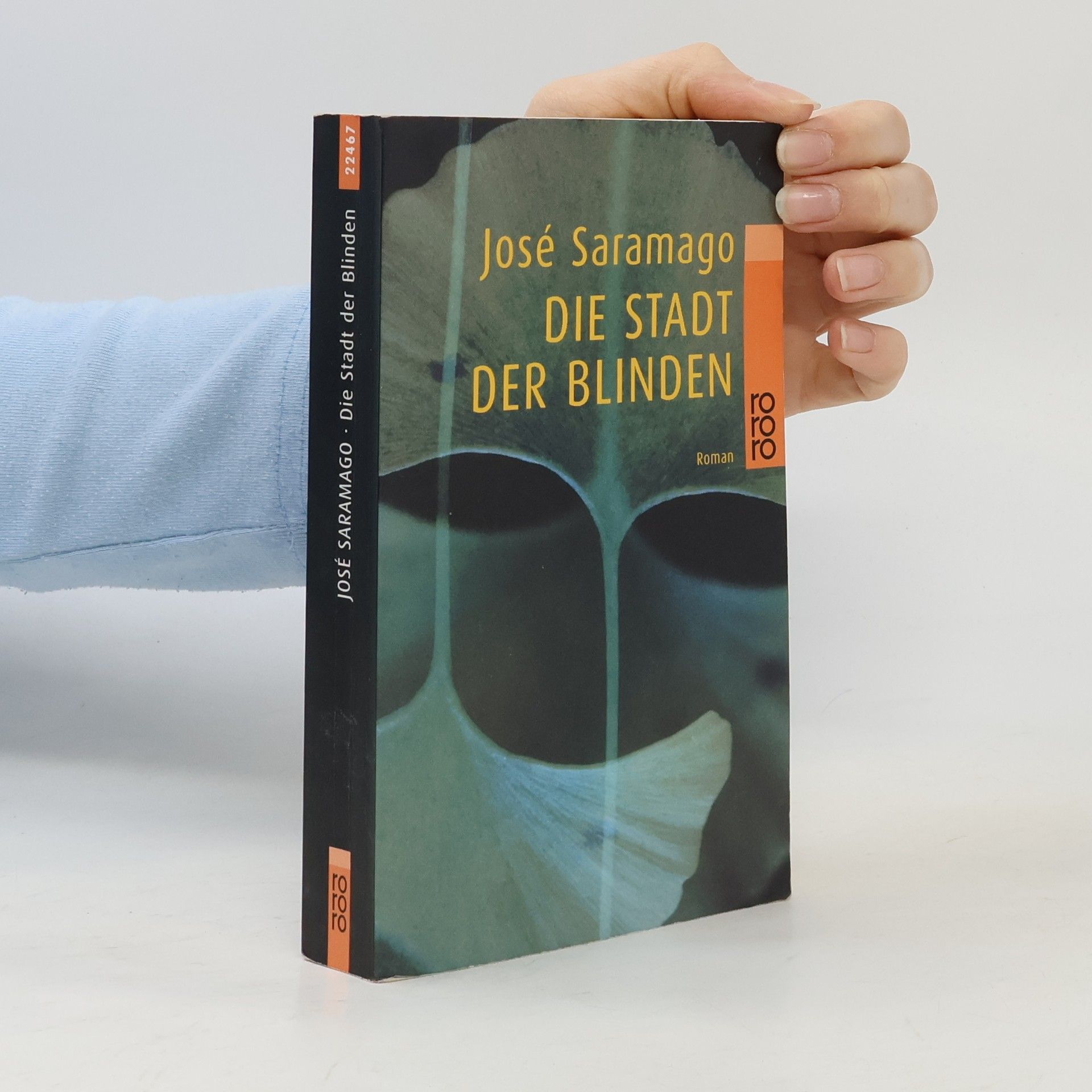 José Saramago Die Stadt der Blinden