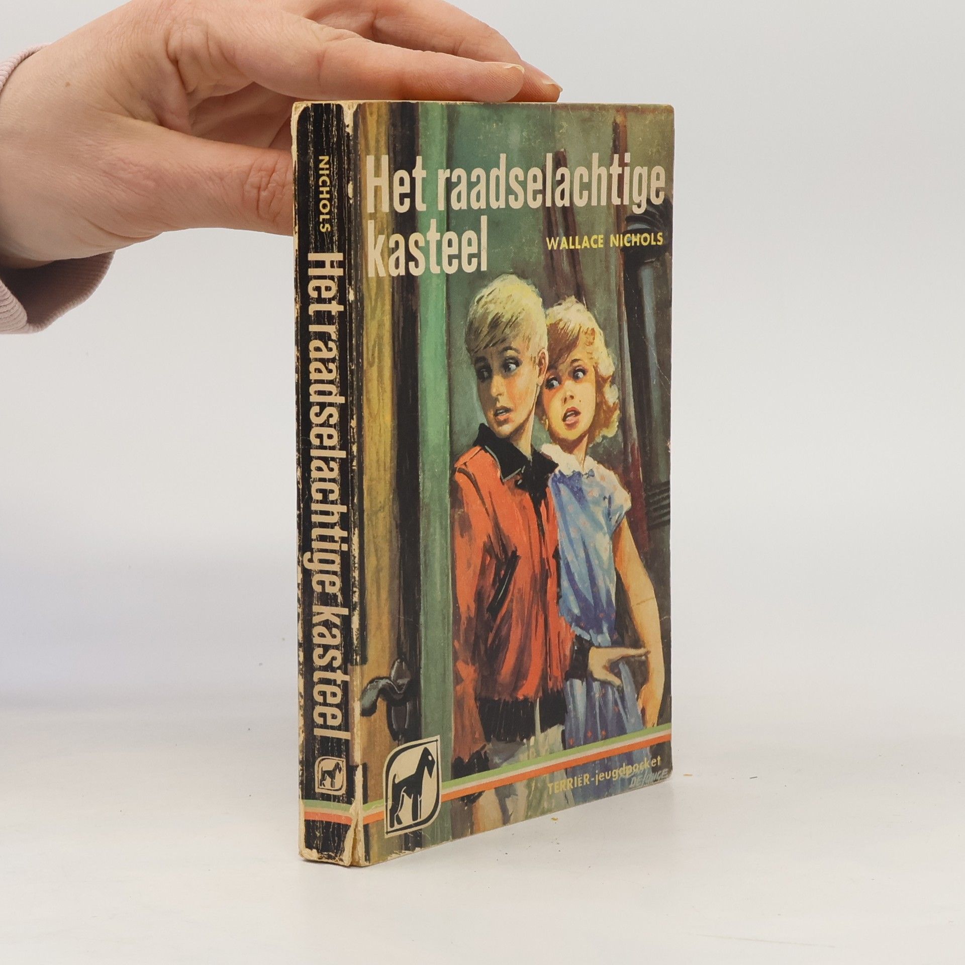 Wallace Nichols Het raadselachtige kasteel