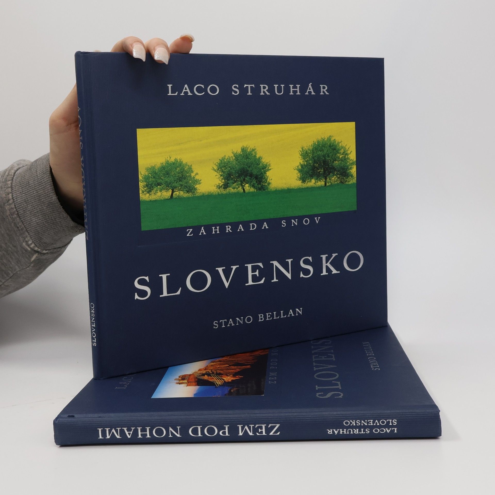 Laco Struhár Slovensko. Zahrada snov