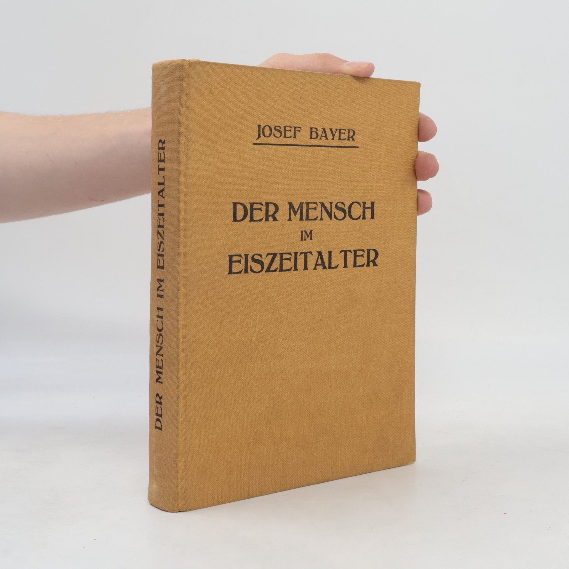 Josef Bayer Der Mensch im Eiszeitalter