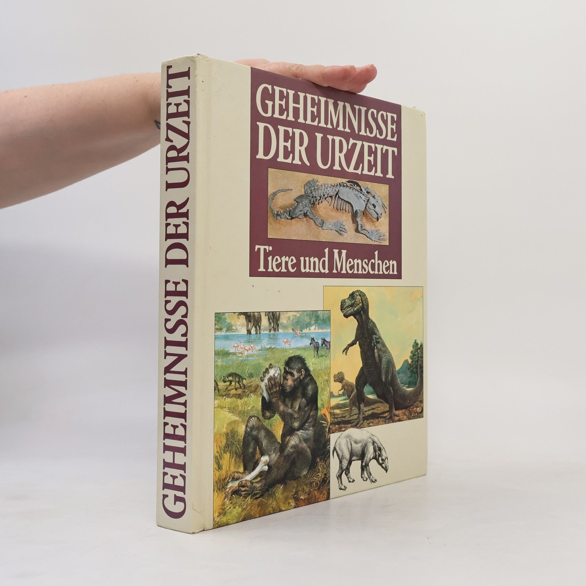 Mario Andreose Die Geheimnisse der Urzeit. Tiere und Menschen