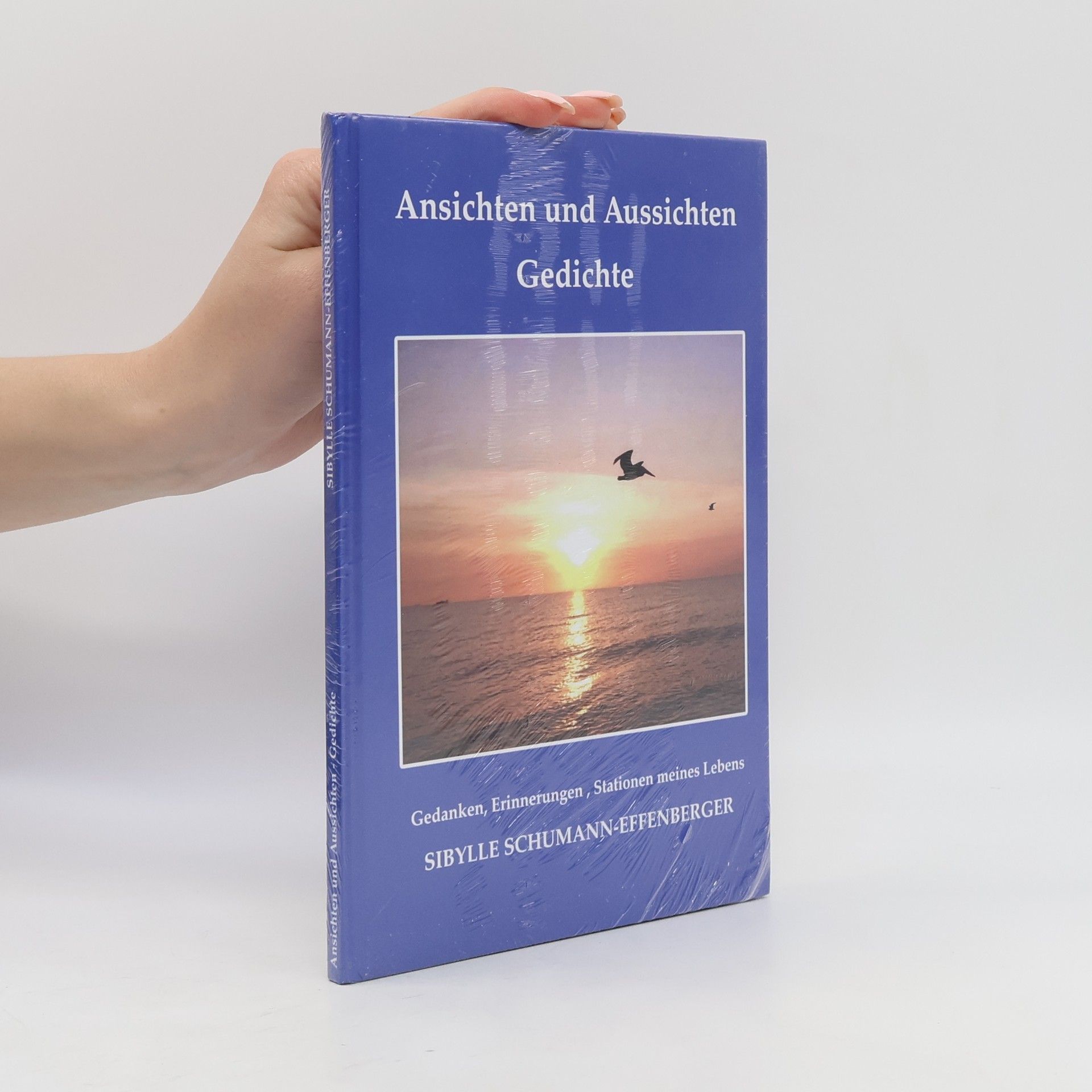Sibylle Schumann-Effenberger Ansichten und Aussichten