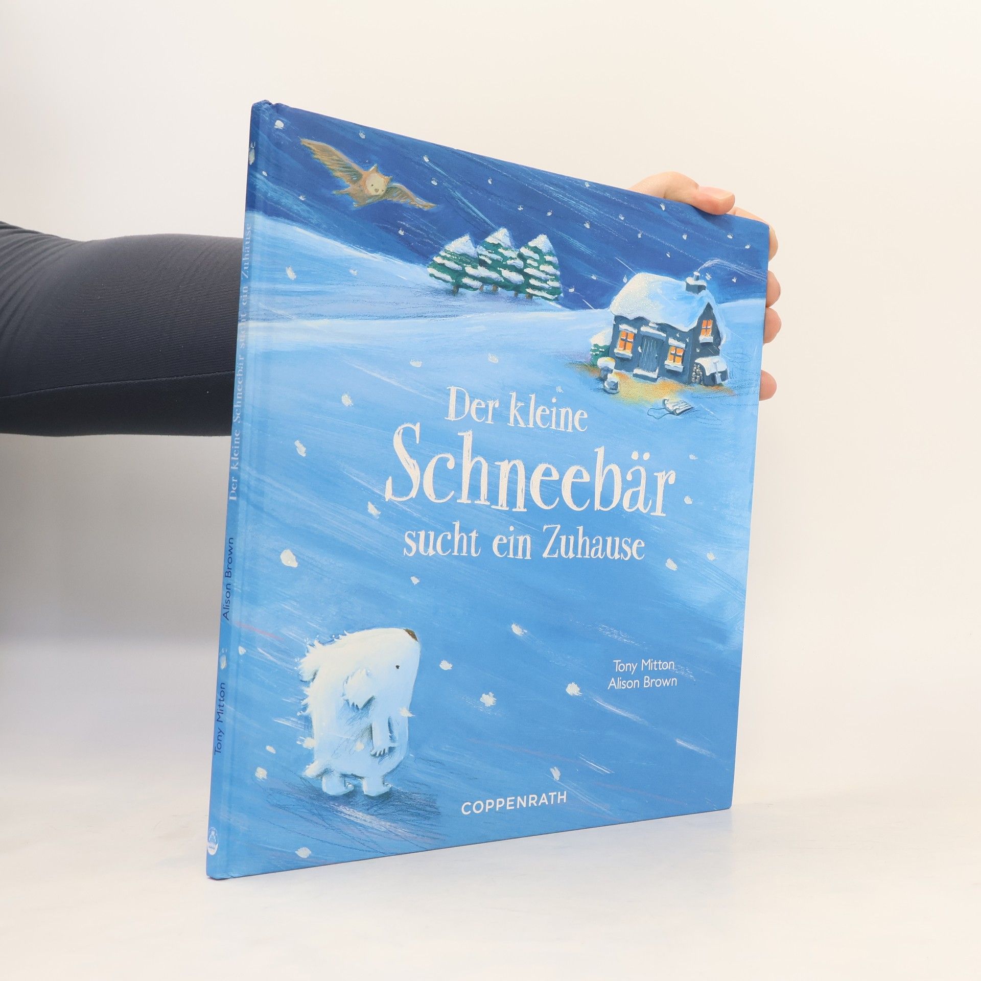 Der kleine Schneebär sucht ein Zuhause