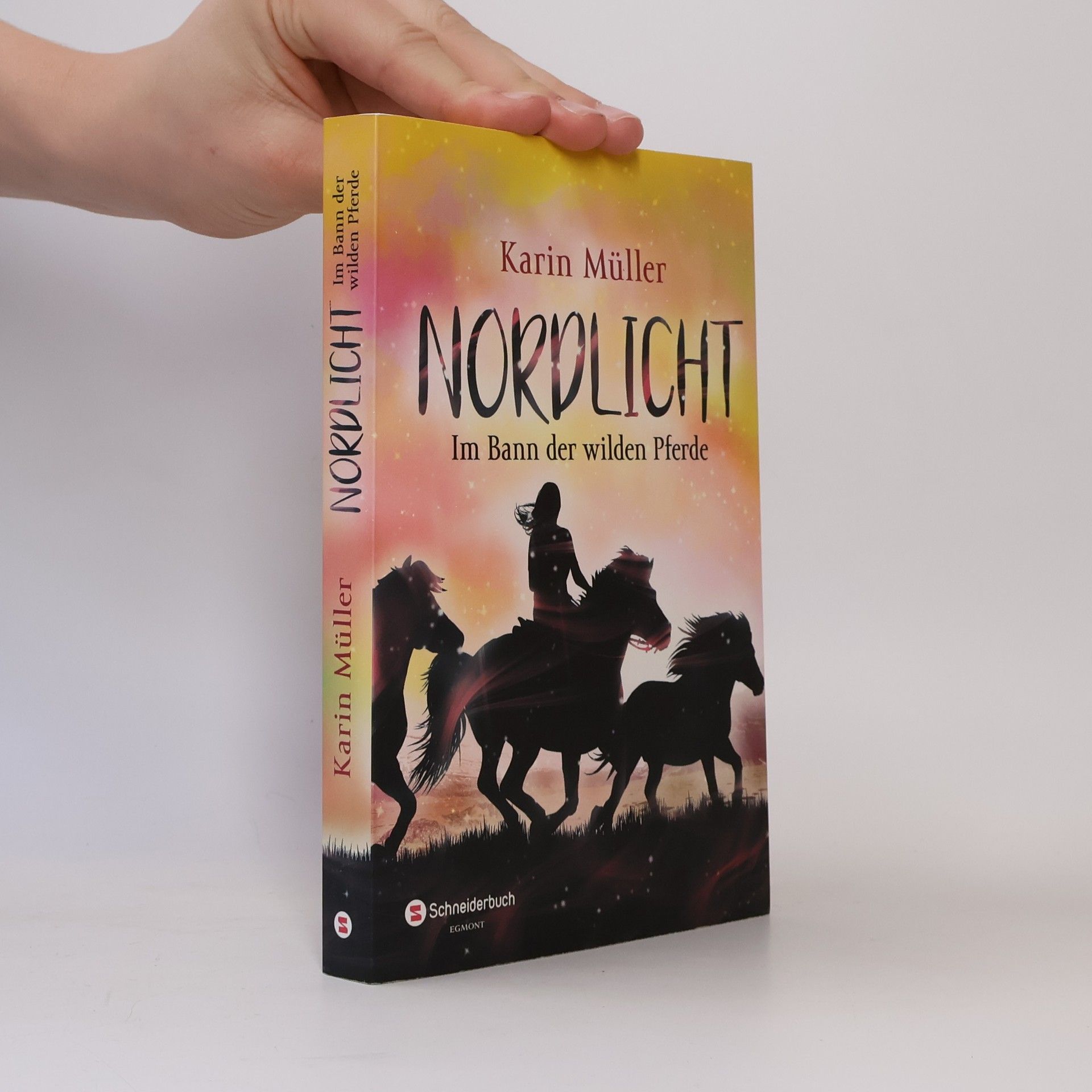 Karin Müller Im Bann der wilden Pferde