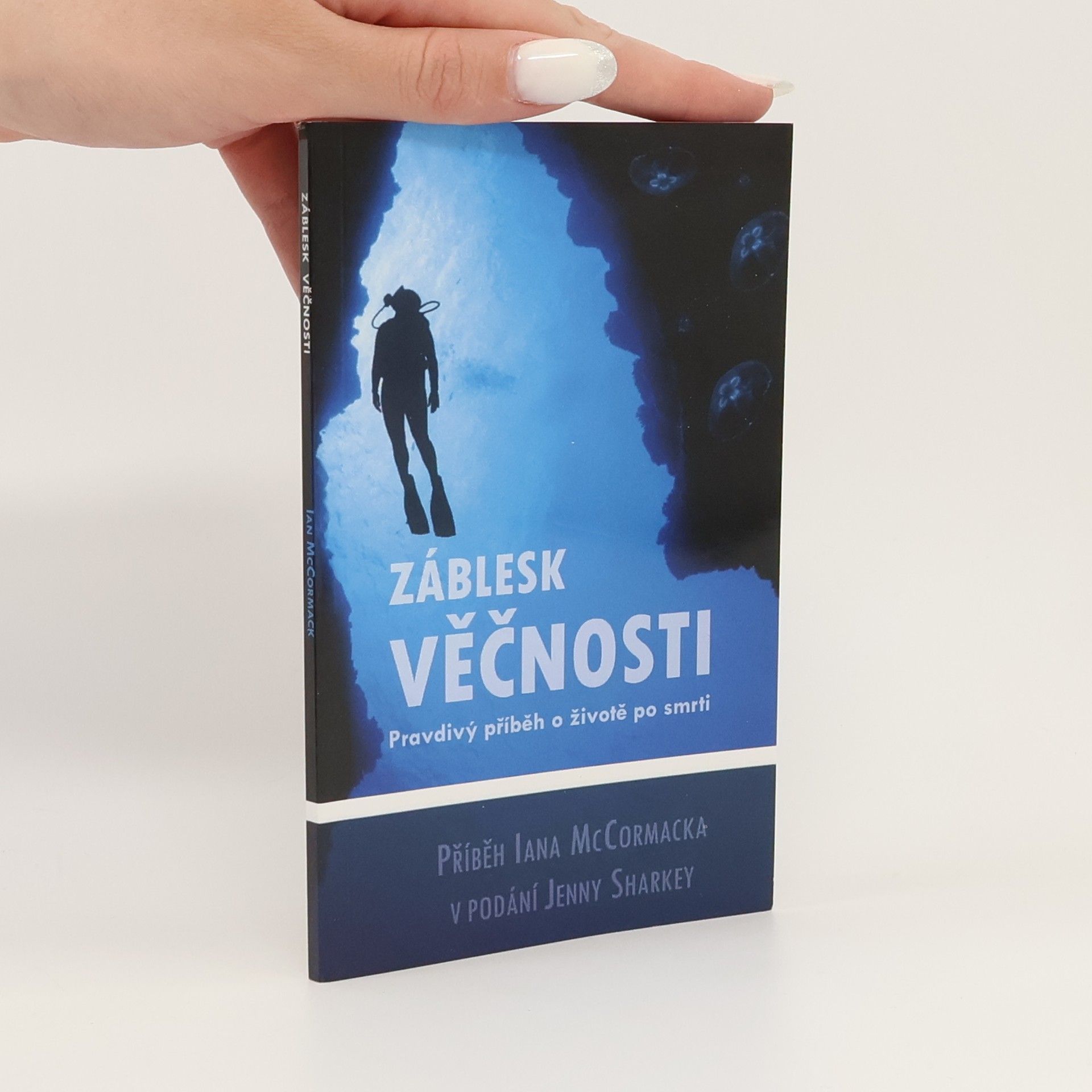Ian McCormack Záblesk věčnosti : pravdivý příběh o životě po smrti