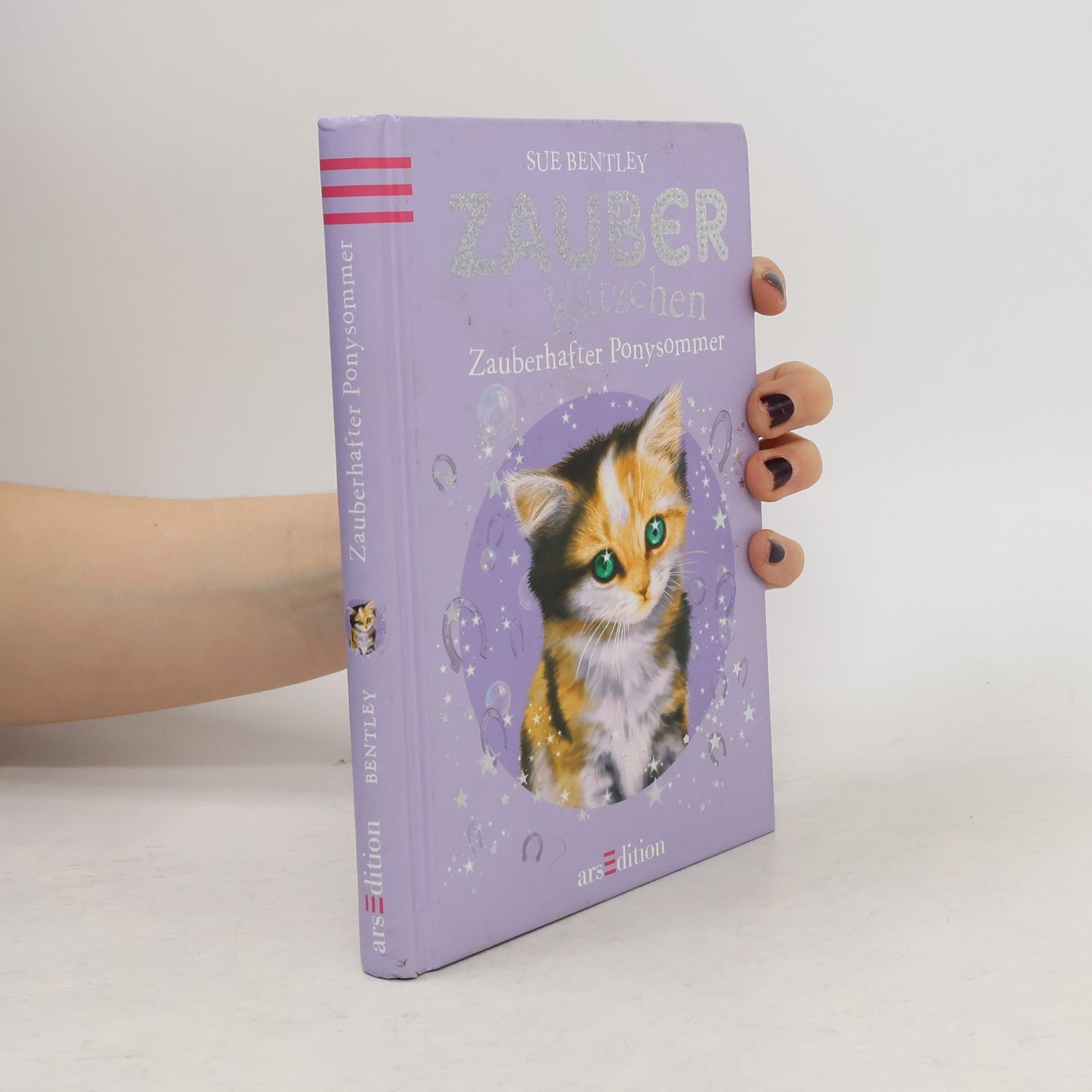 Zauberkätzchen - zauberhafter Ponysommer