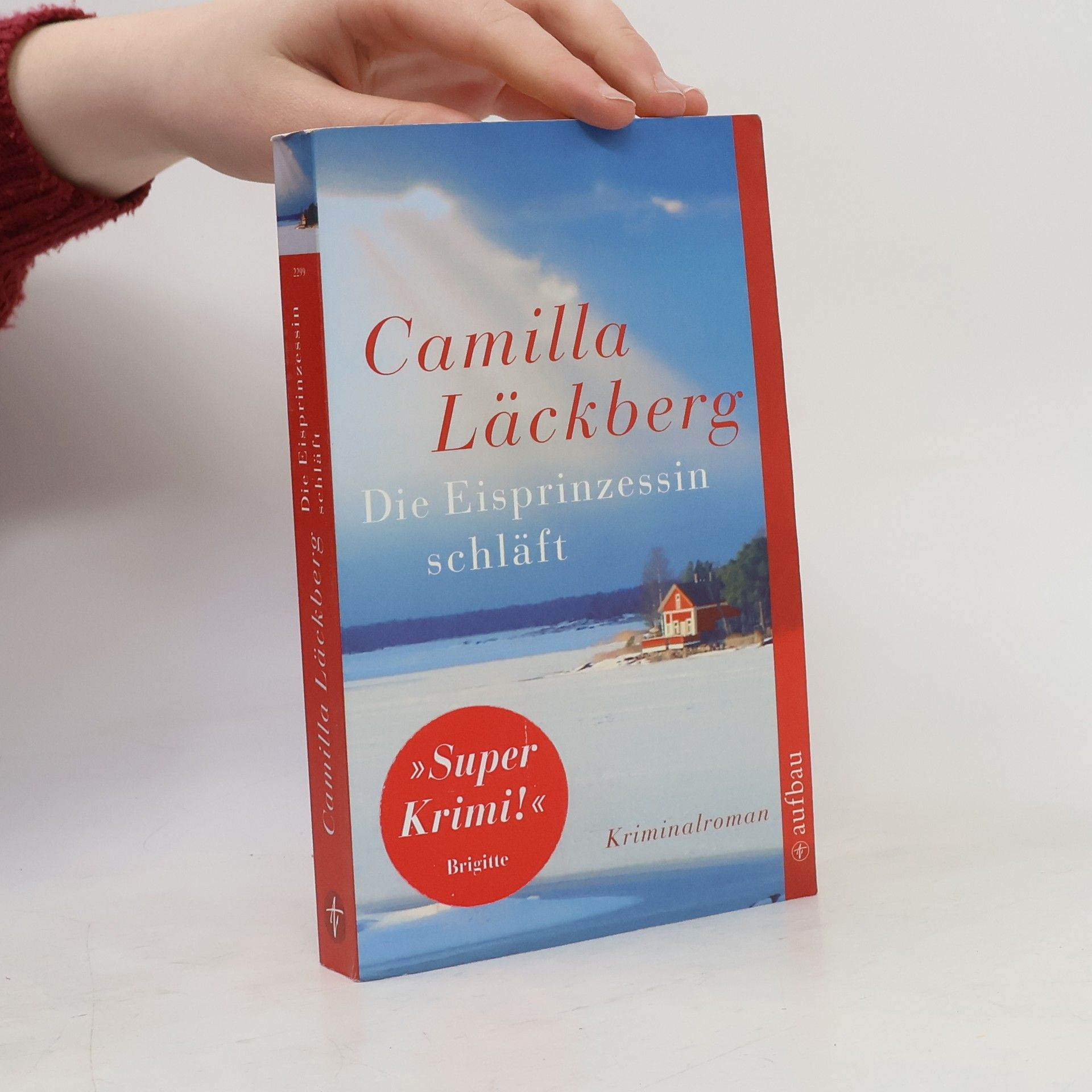 Camilla Läckberg Die Eisprinzessin schläft