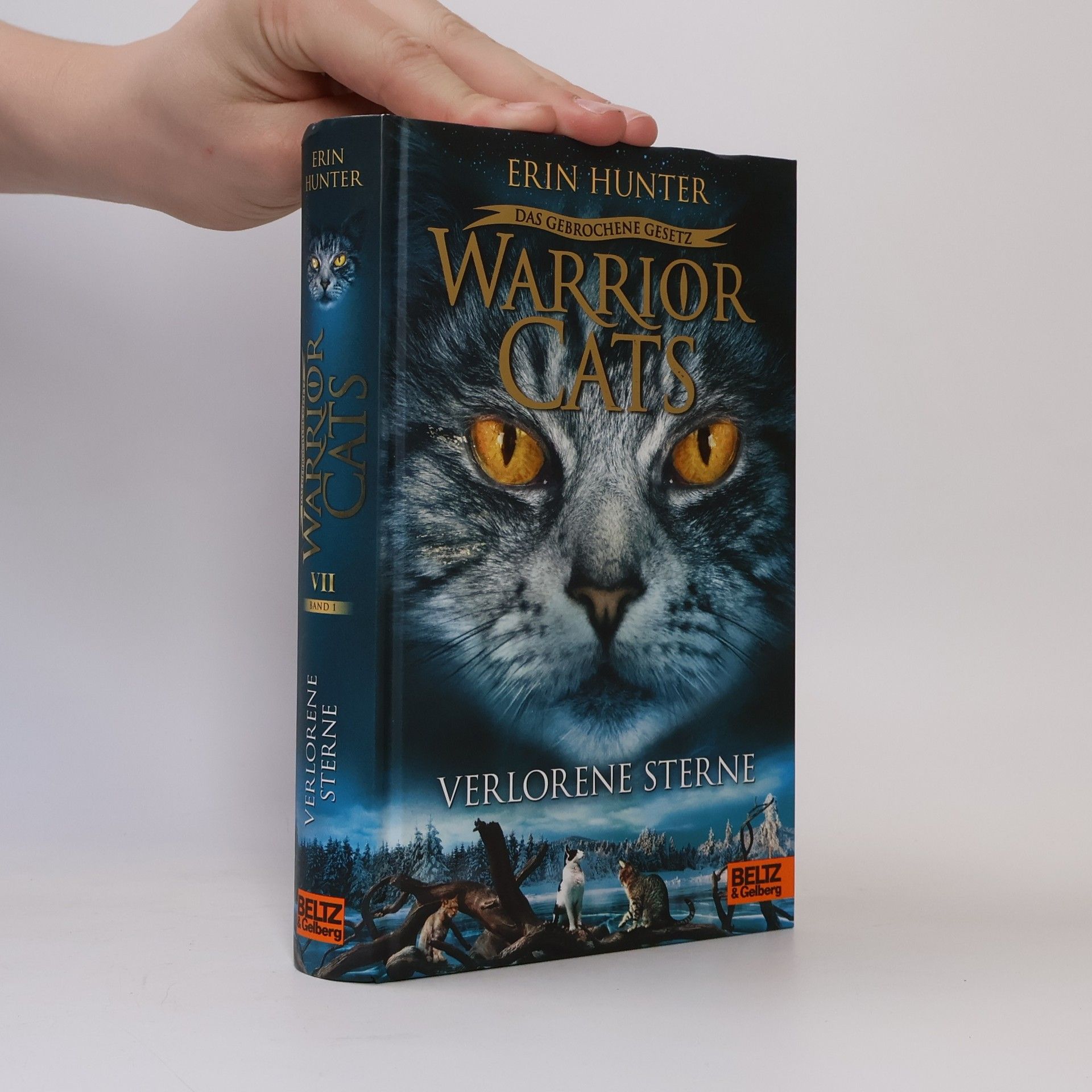 Erin Hunter Warrior Cat: Verlorene Sterne