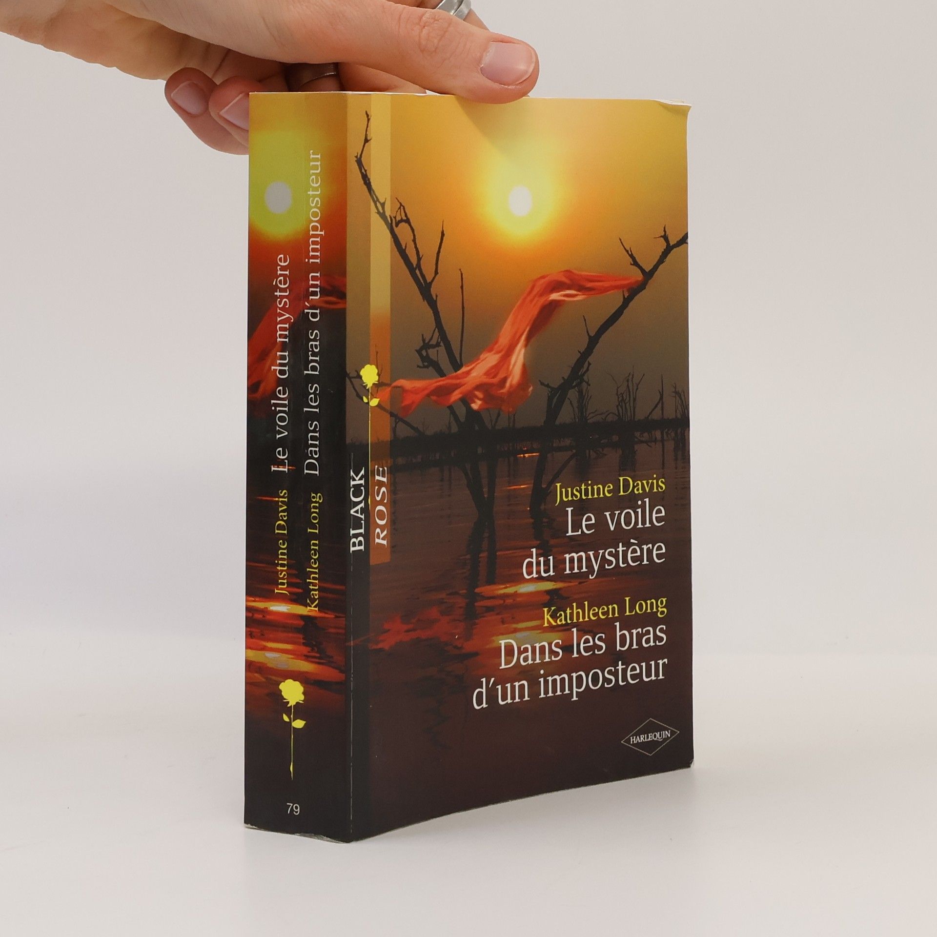 M Christine Boyer Le voile du mystère and Dans les bras d'un imposteur