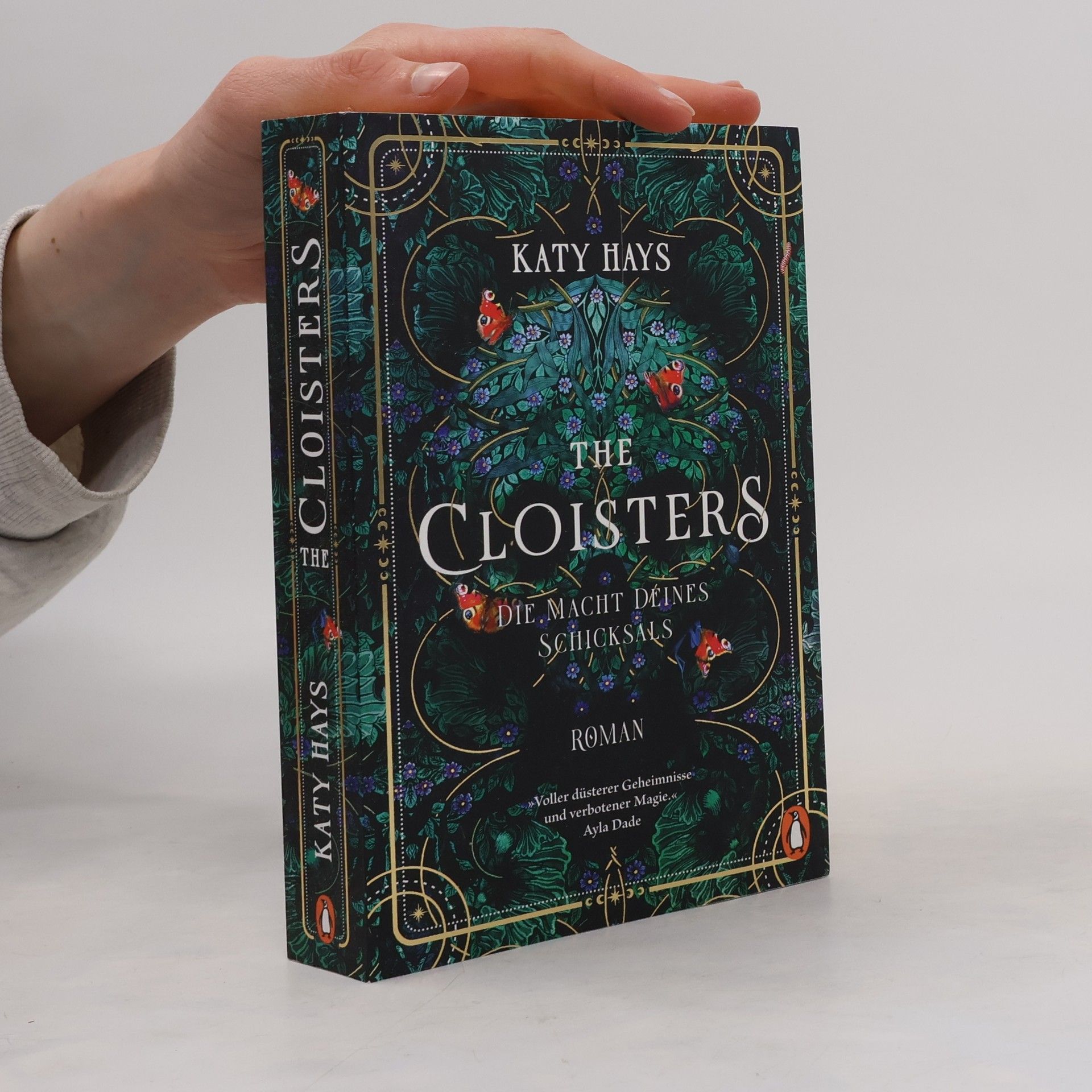 Katy Hays The Cloisters