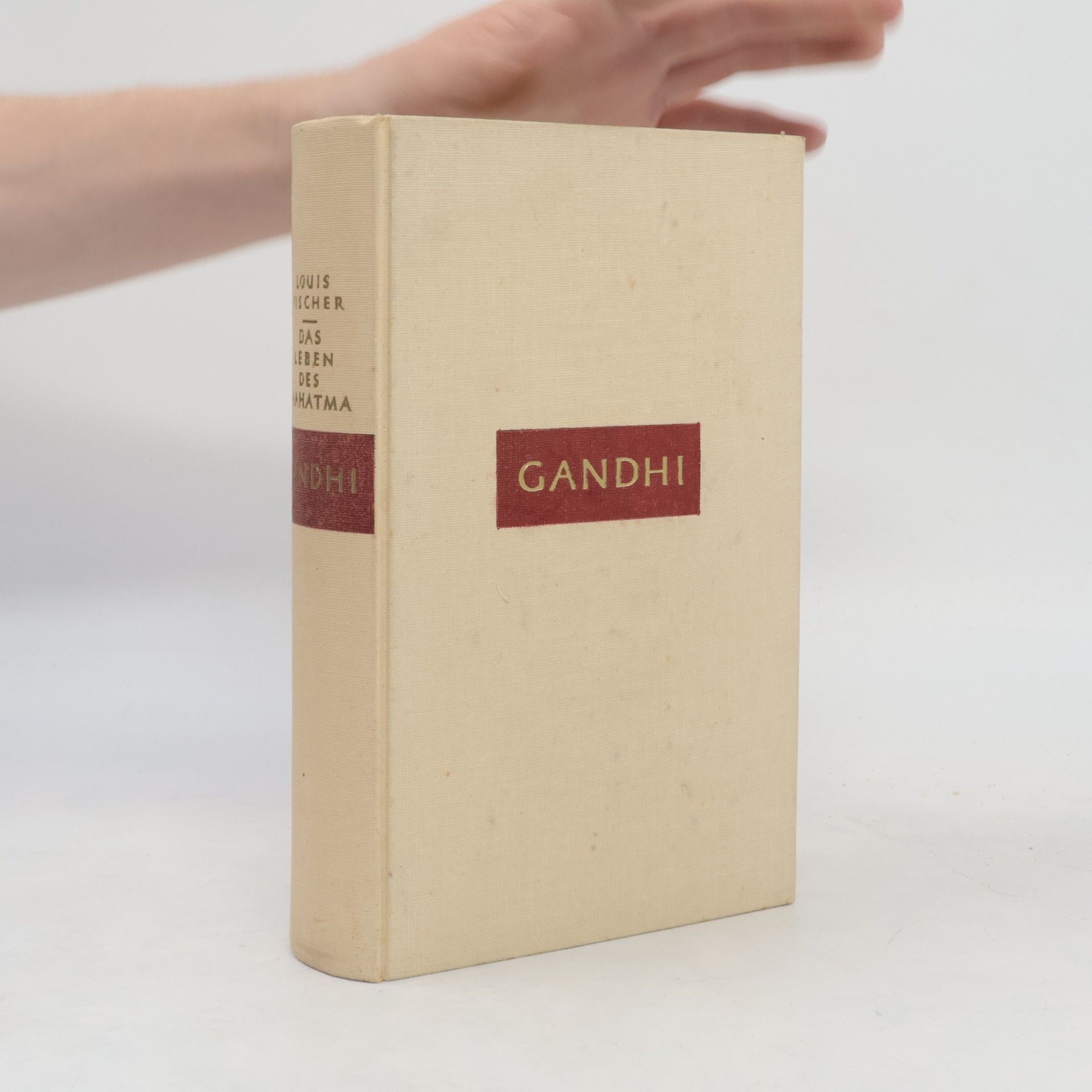 Jean-Louis Fischer Das Leben des Mahatma Gandhi