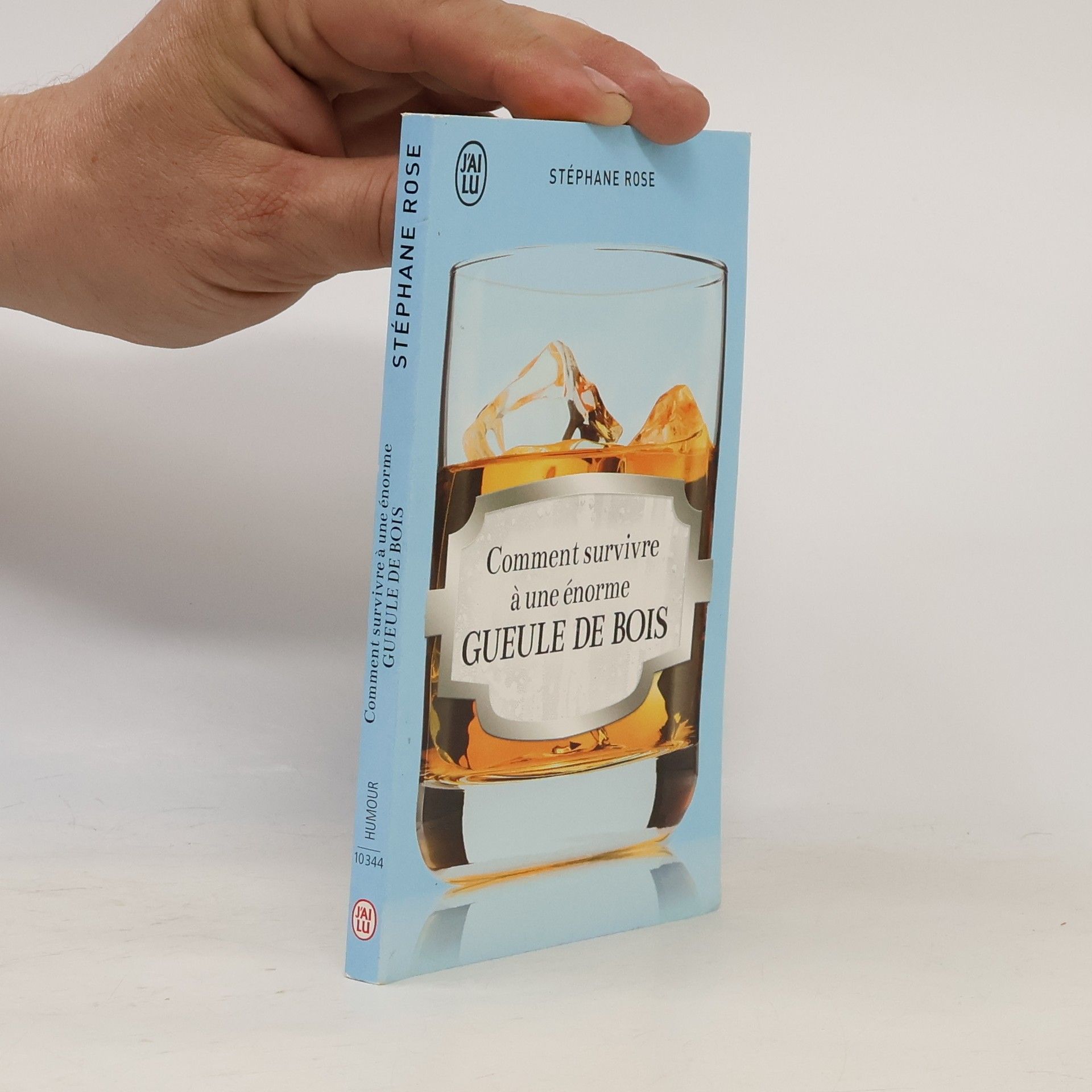 Stéphane Rose Comment survivre à une énorme gueule de bois