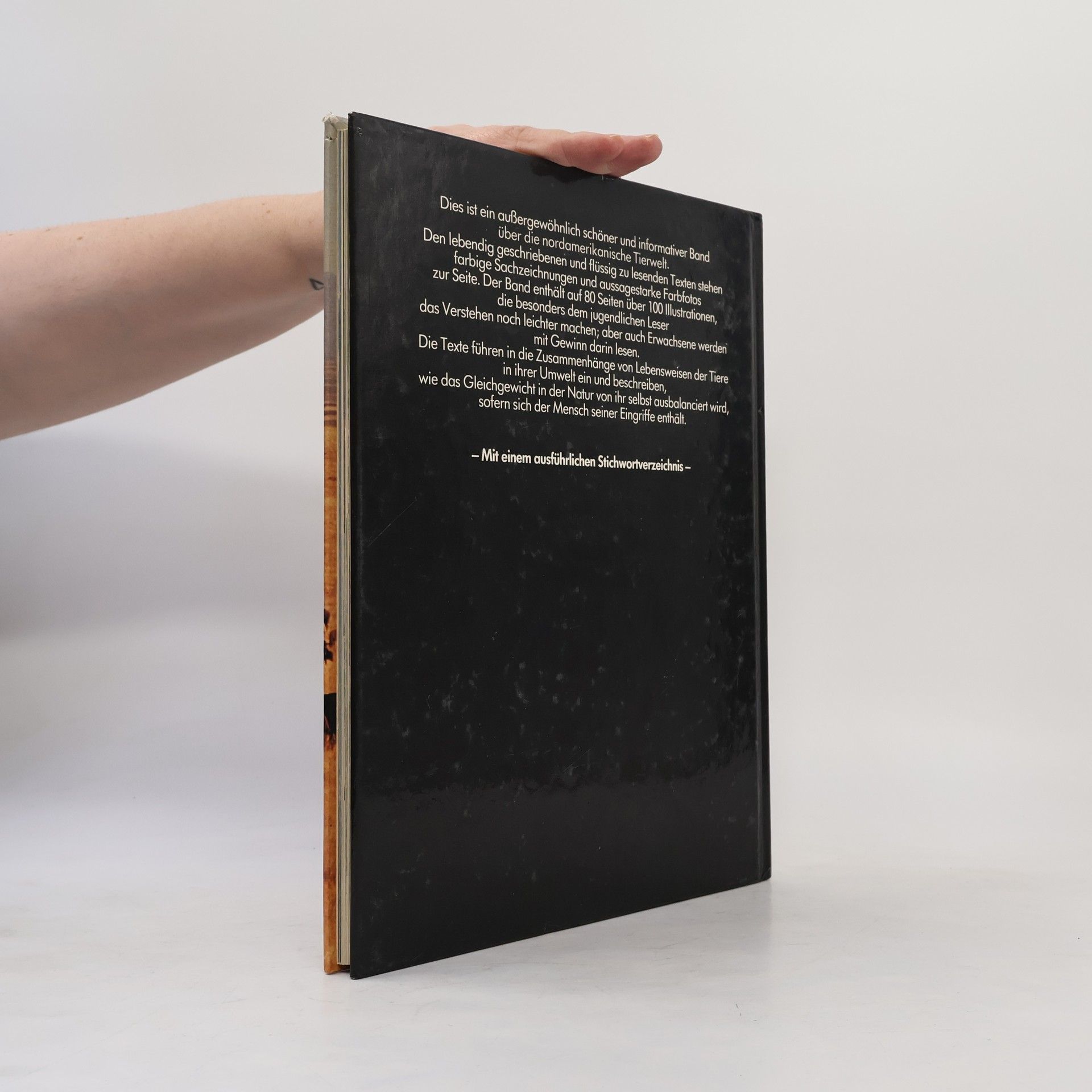 Autores varios Der Bison und die Tierwelt Nord Amerikas