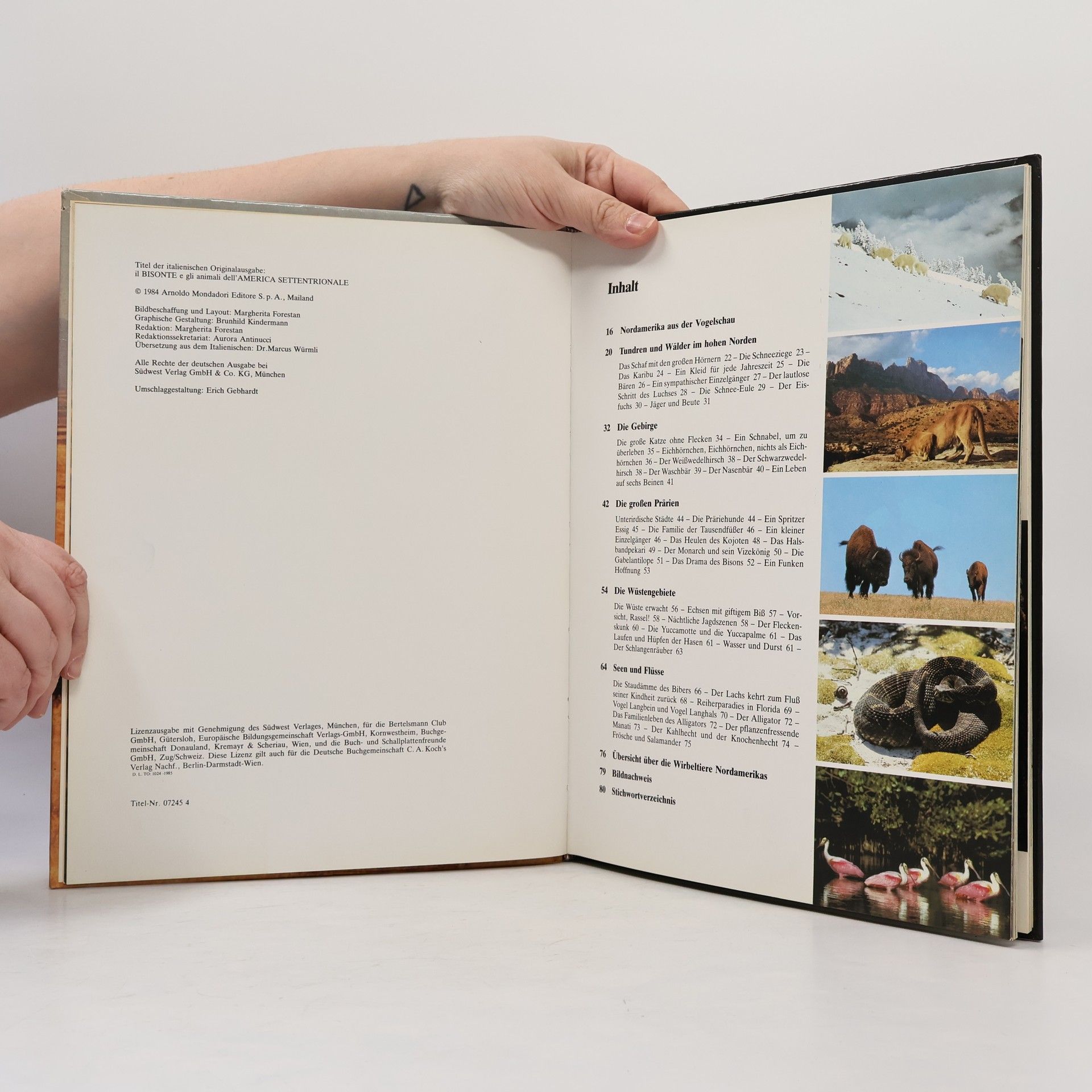 Autores varios Der Bison und die Tierwelt Nord Amerikas