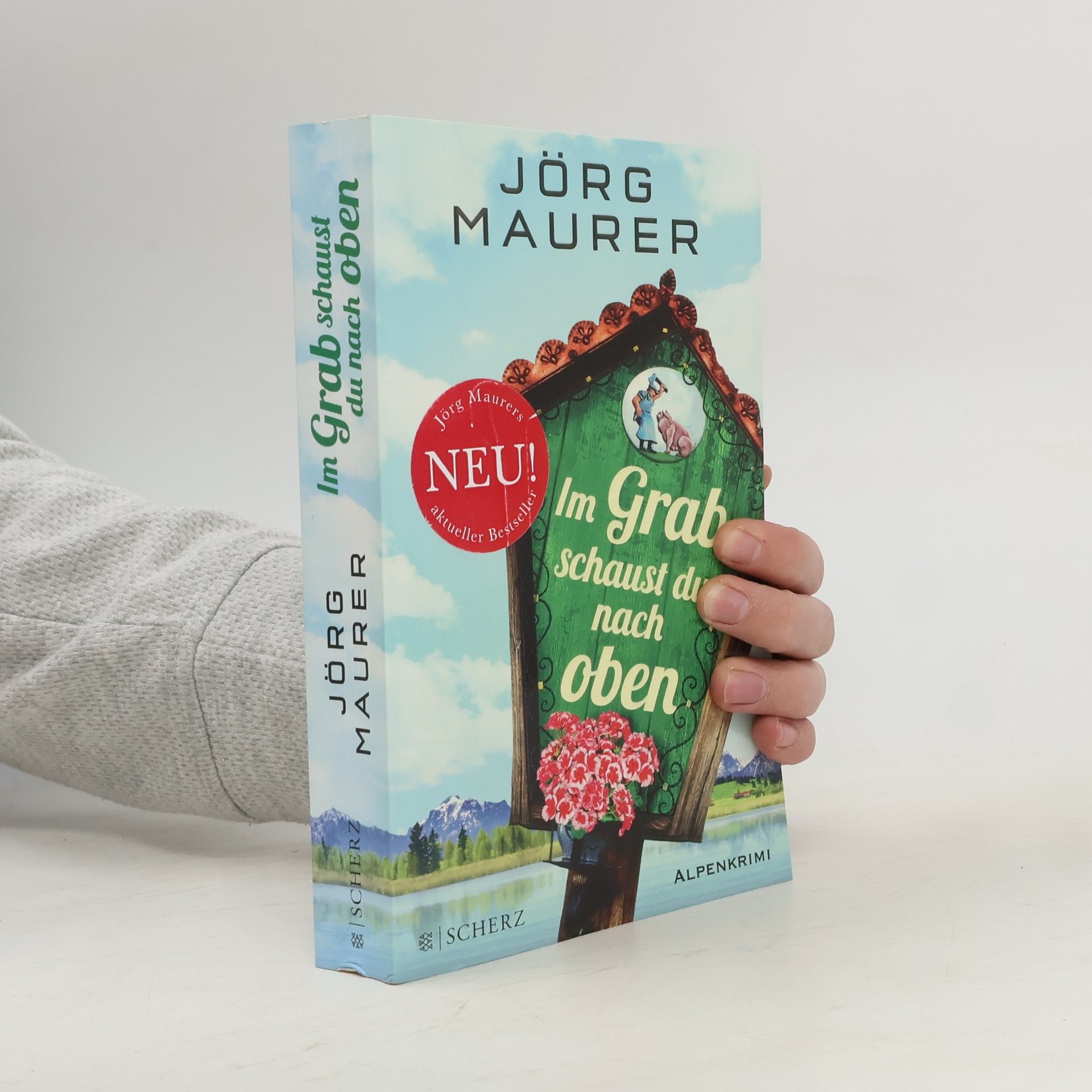 Jörg Maurer Im Grab schaust du nach oben