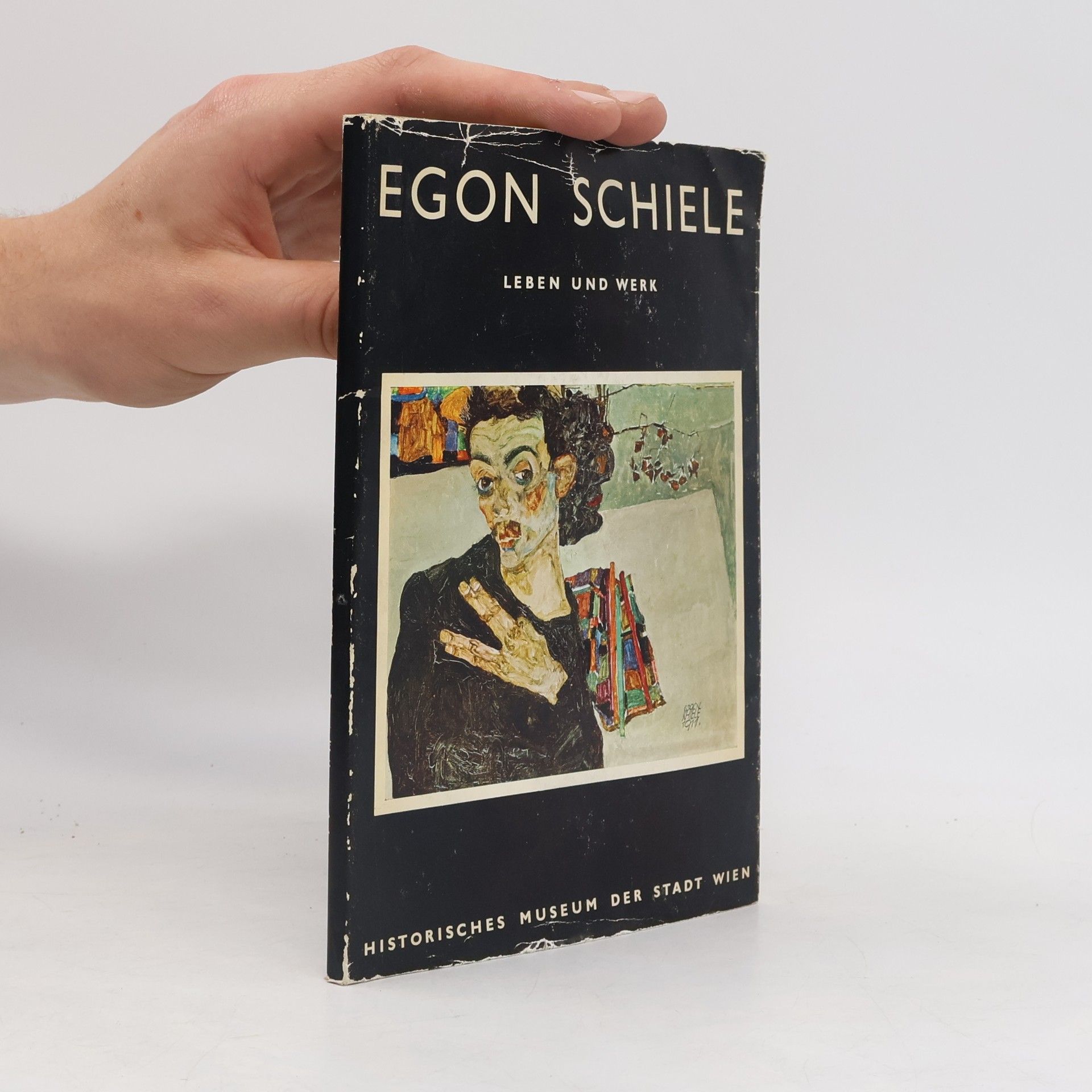 Kolektiv autorů Egon Schiele. Leben und Werk