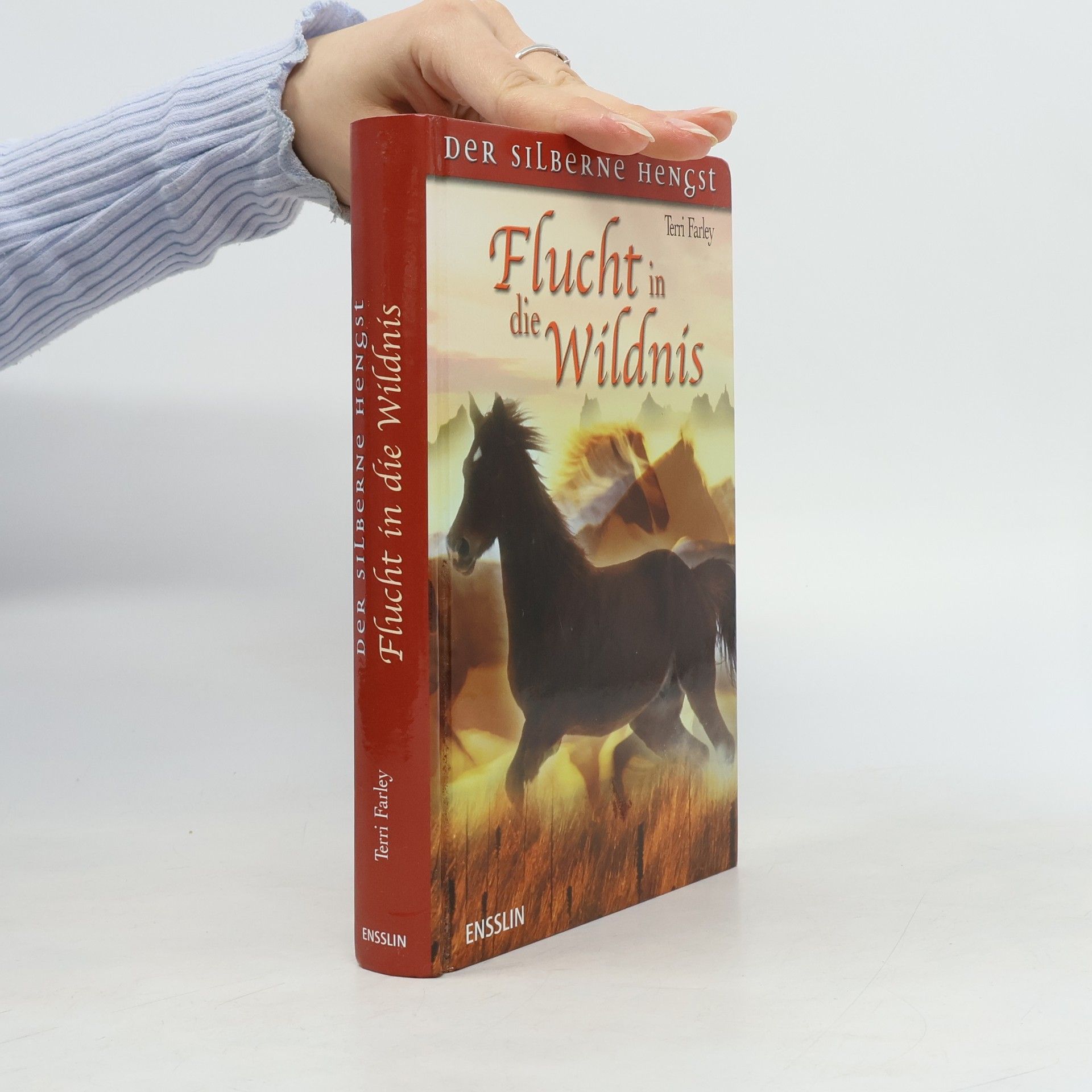 Terri Farley Flucht in die Wildnis