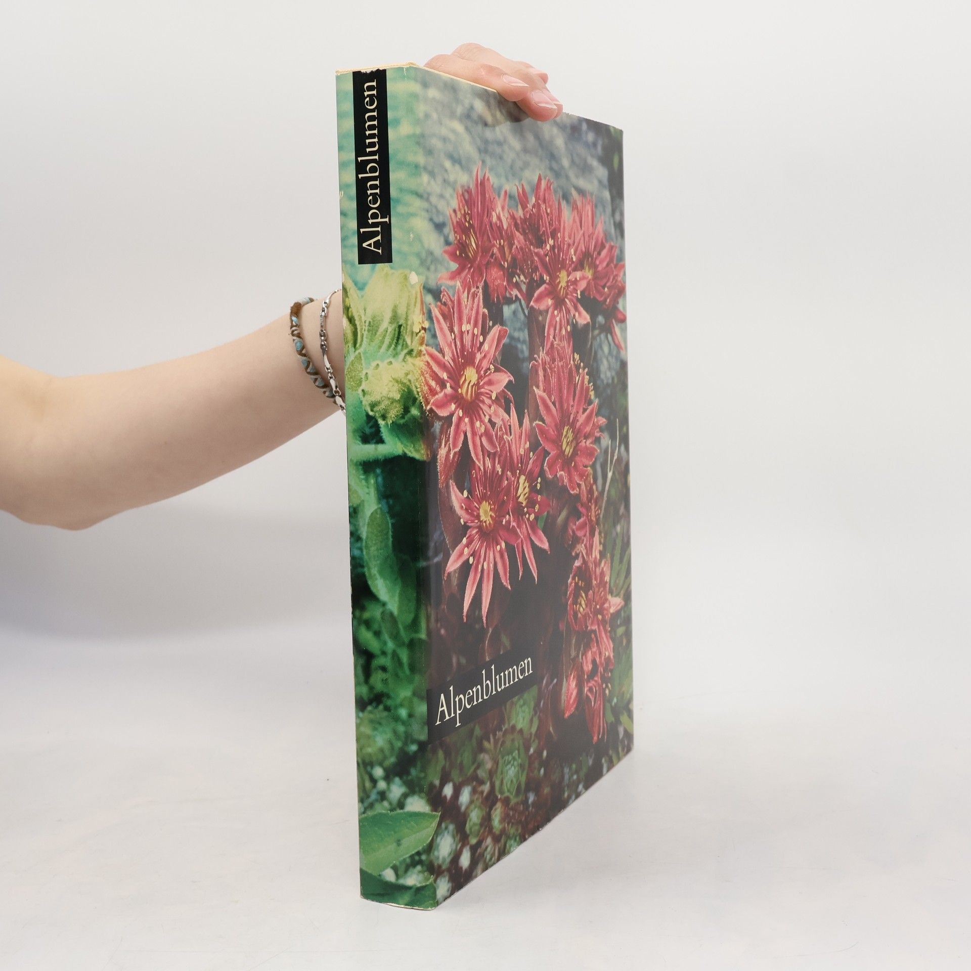 AA.VV. Alpenblumen