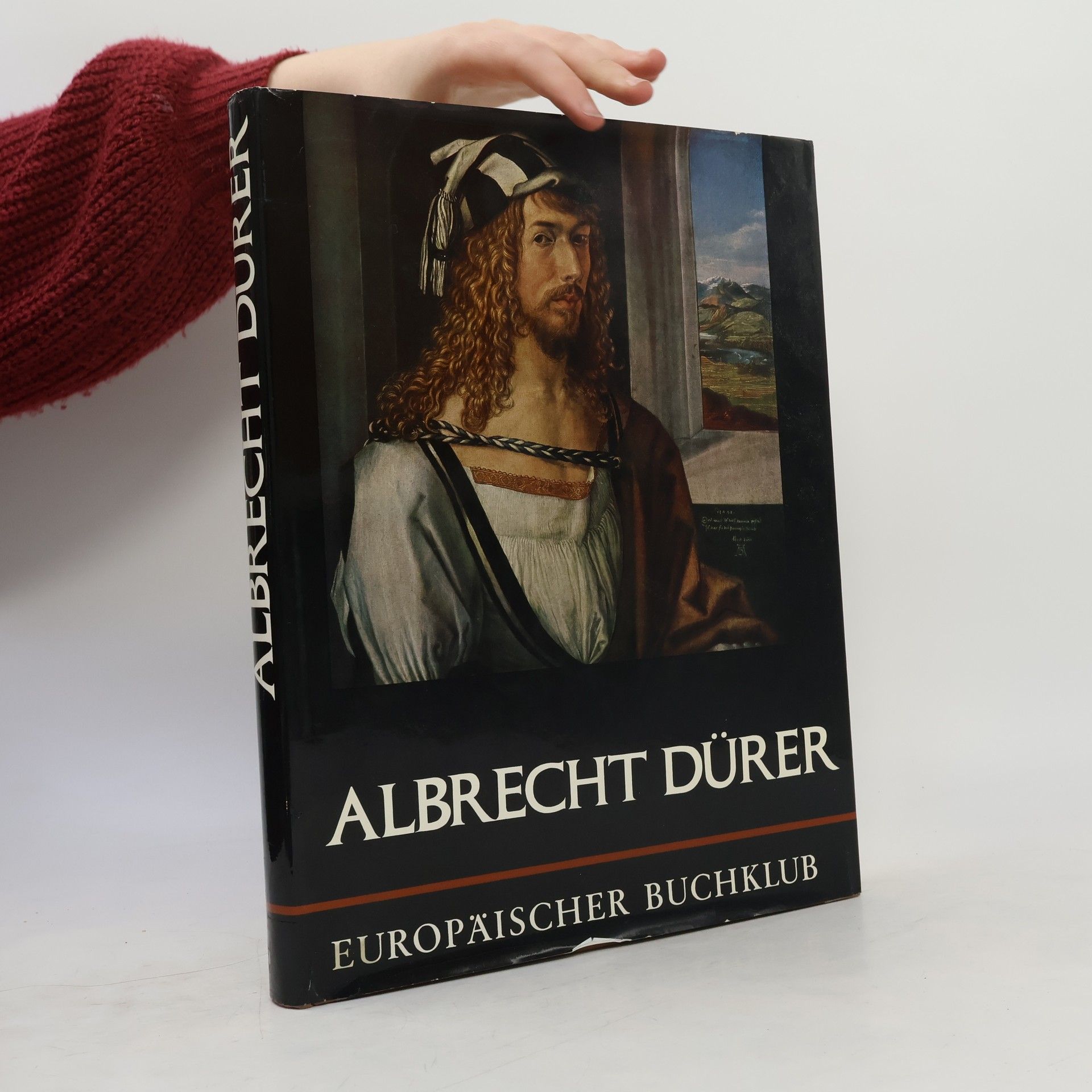 Kolektív autorov Aus Albrecht Dürers Welt