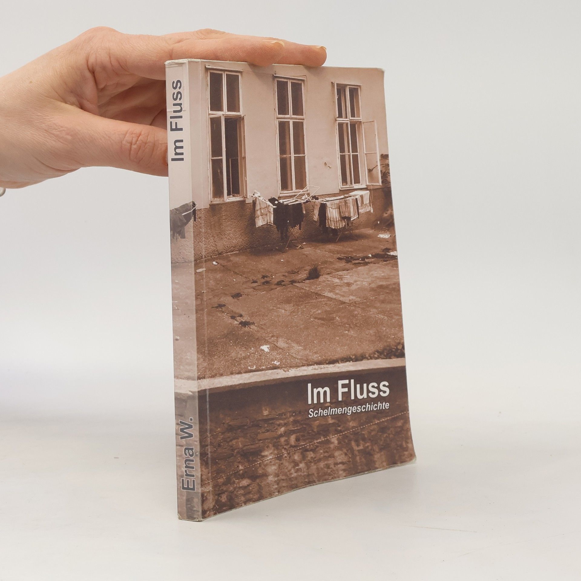 Various authors Im Fluss