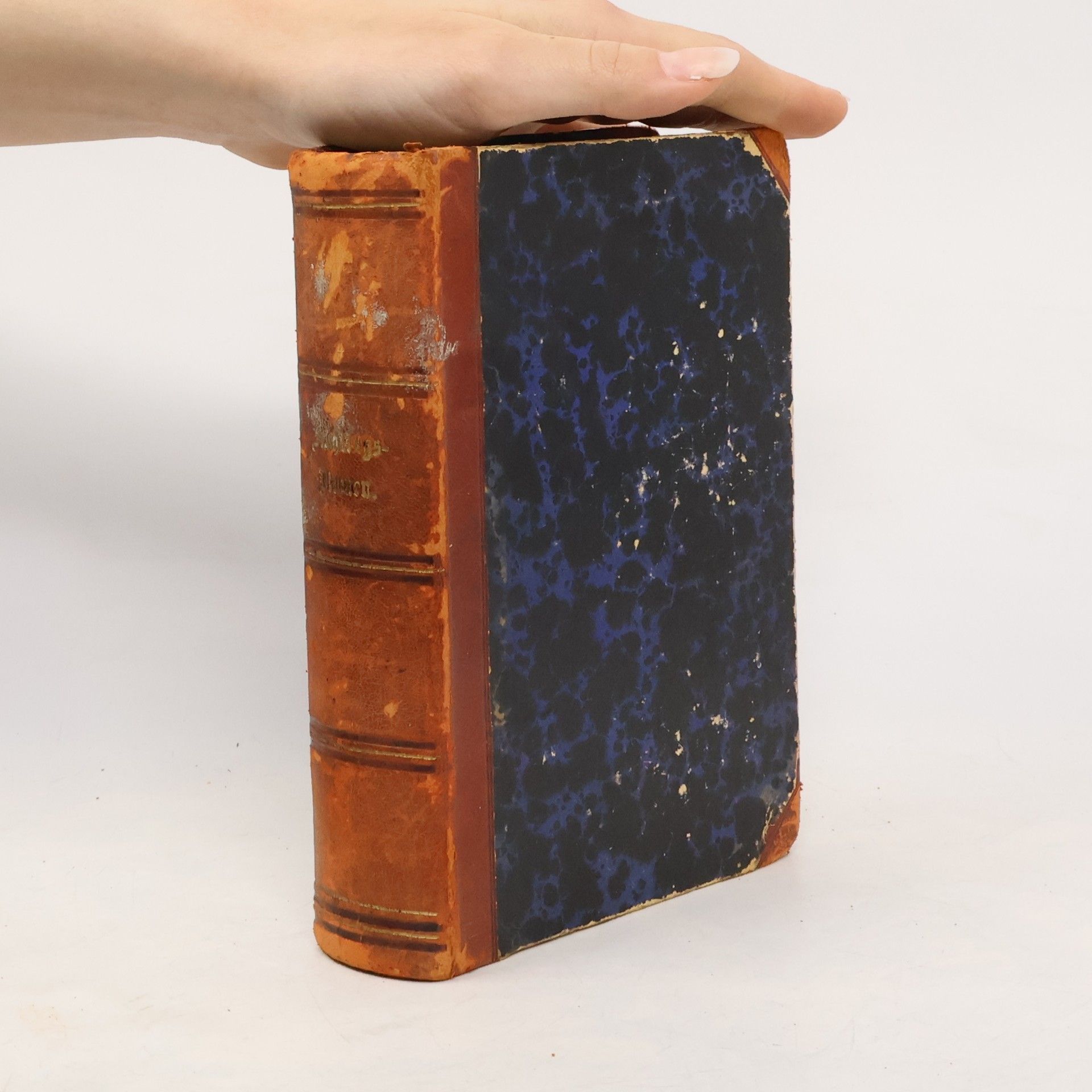 Aglaia von Enderes Frühlingsblumen